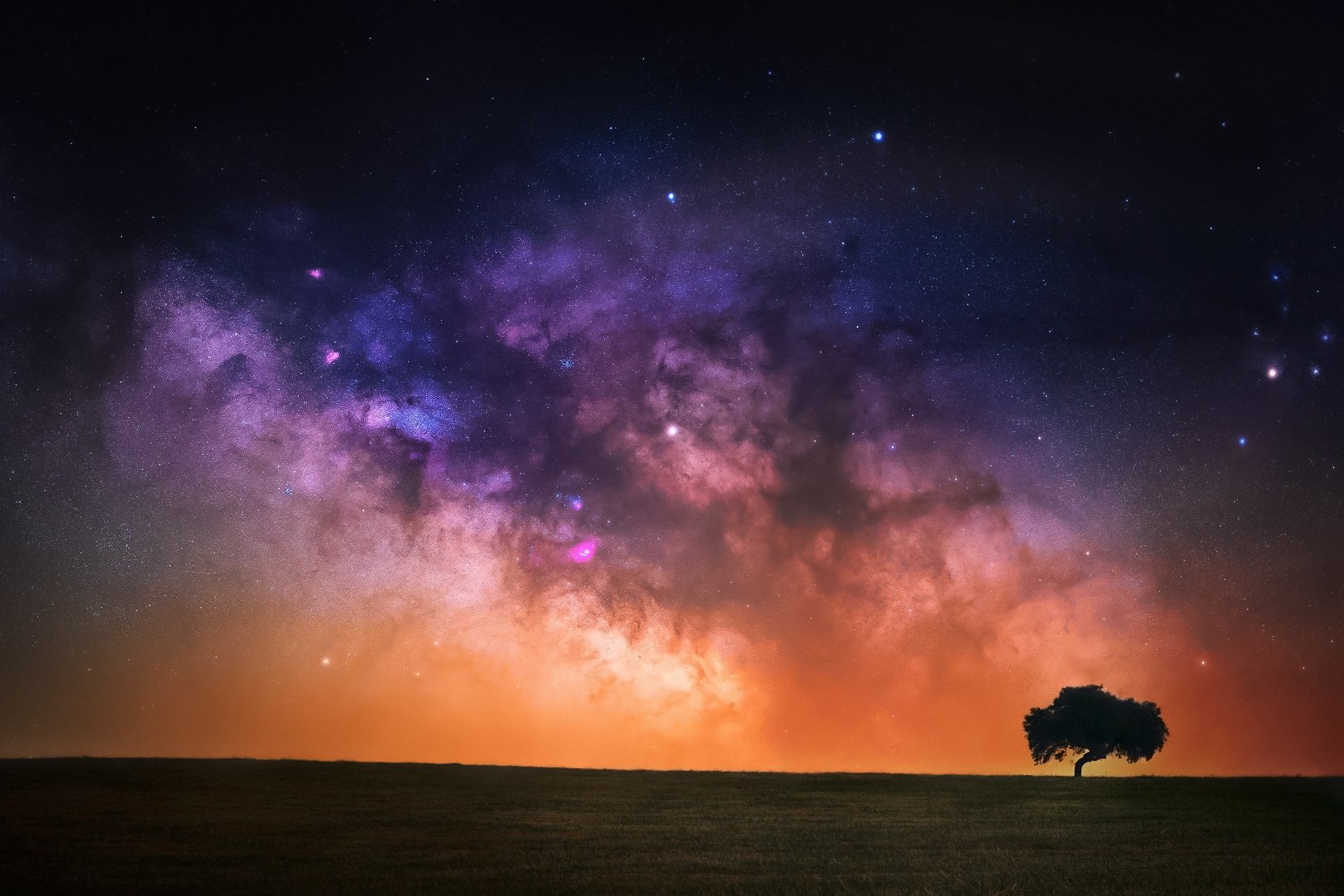 Milky Way Tree Field Wallpapers