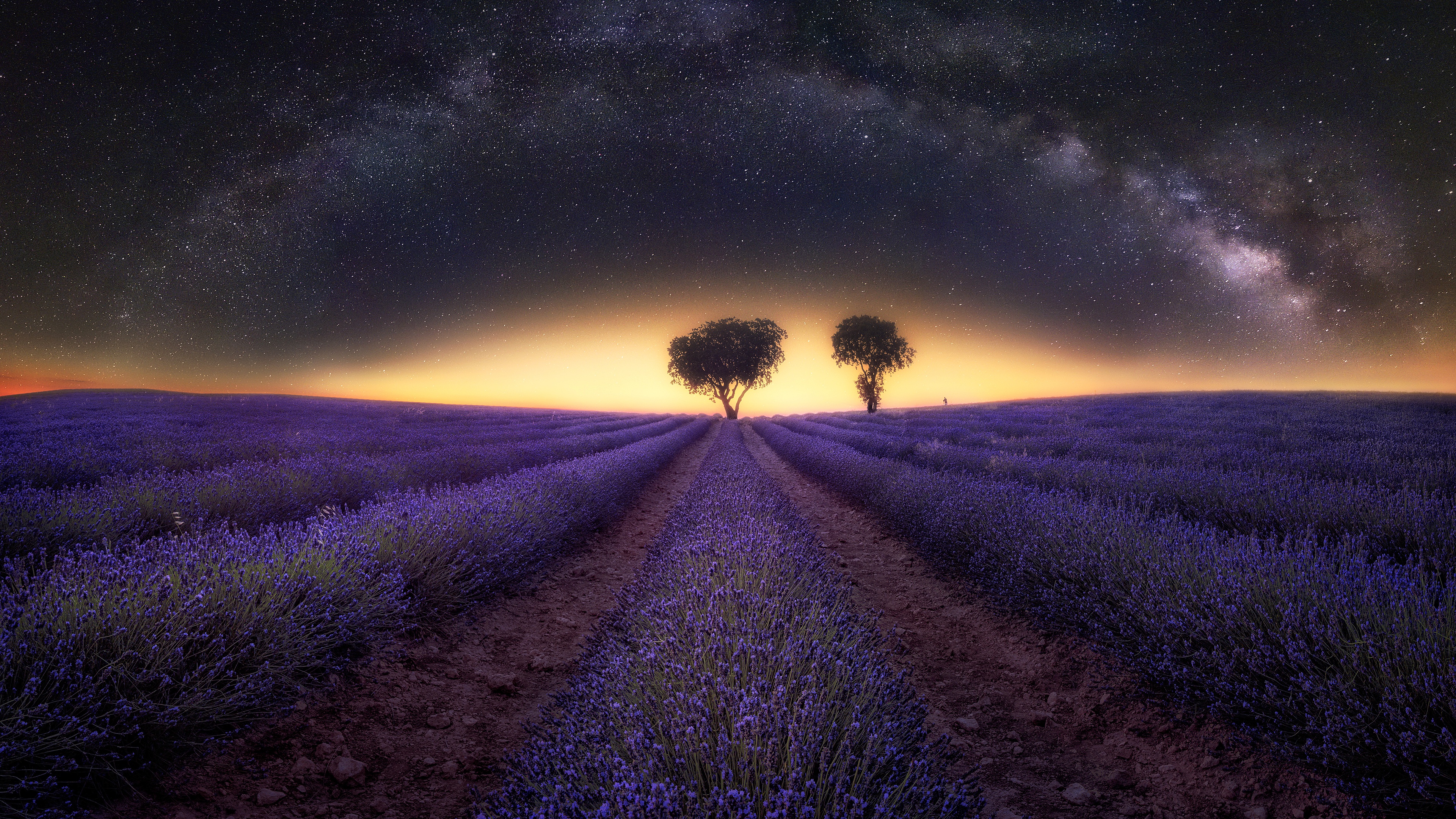 Milky Way Tree Field Wallpapers