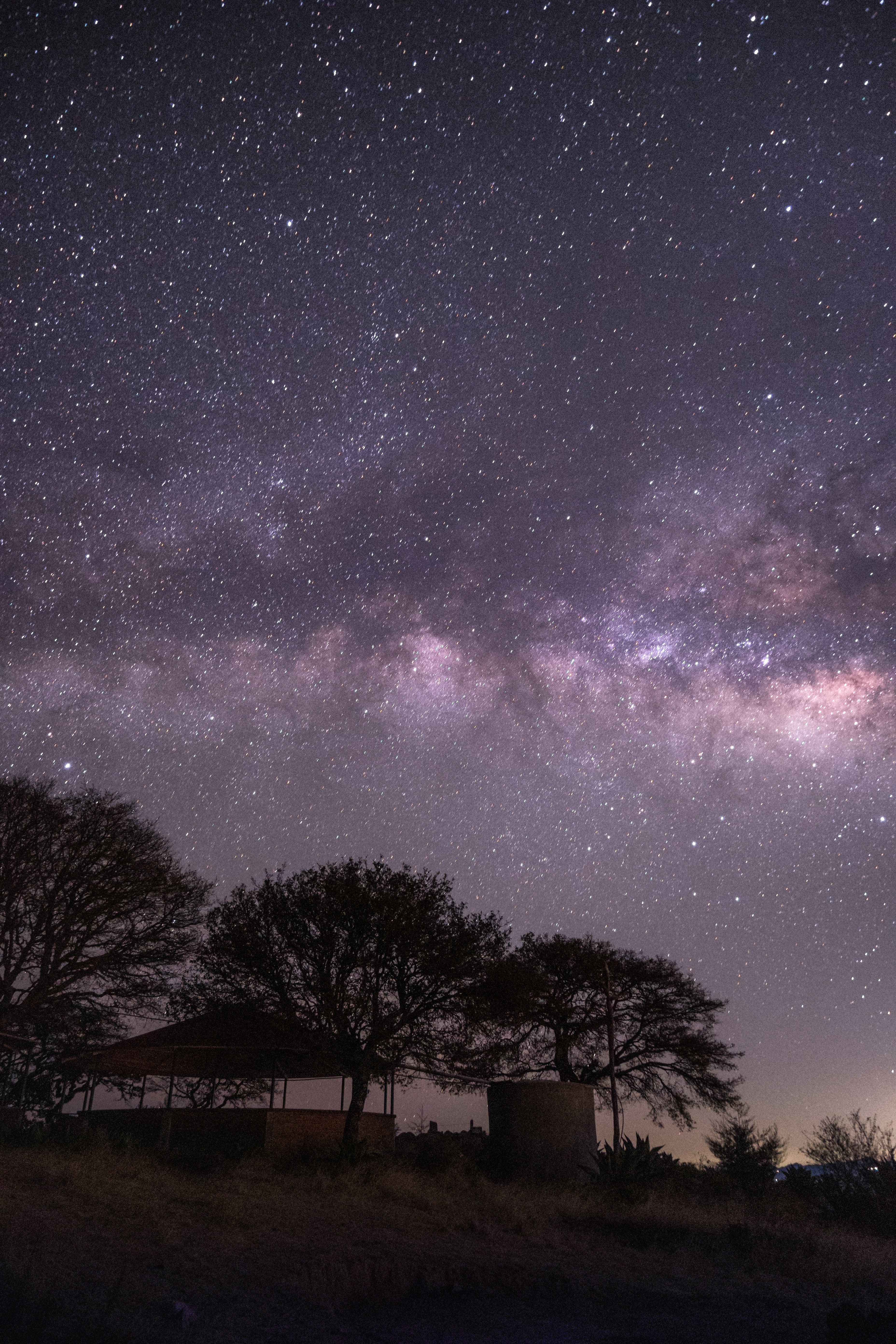 Milky Way Tree Field Wallpapers