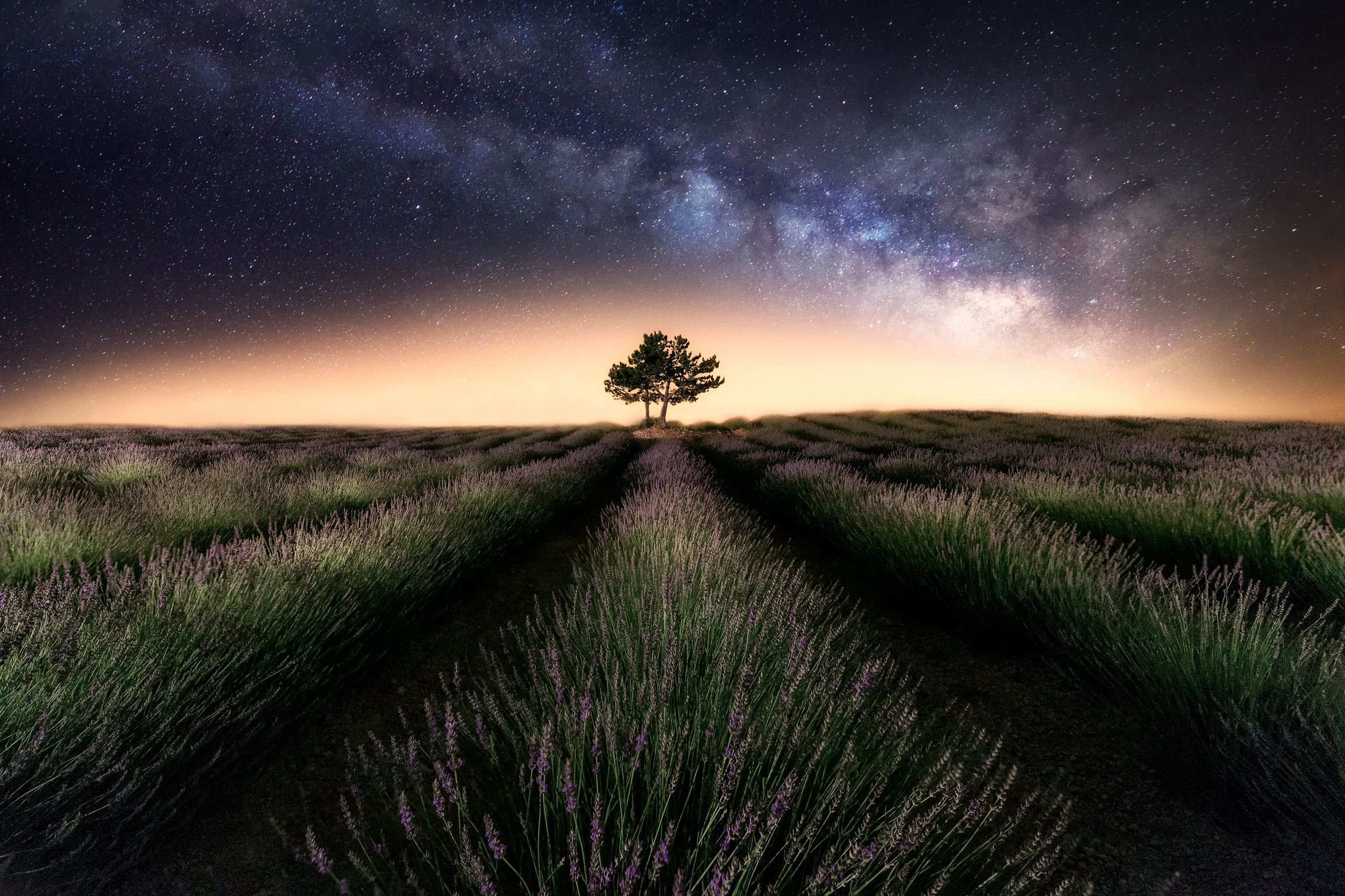 Milky Way Tree Field Wallpapers