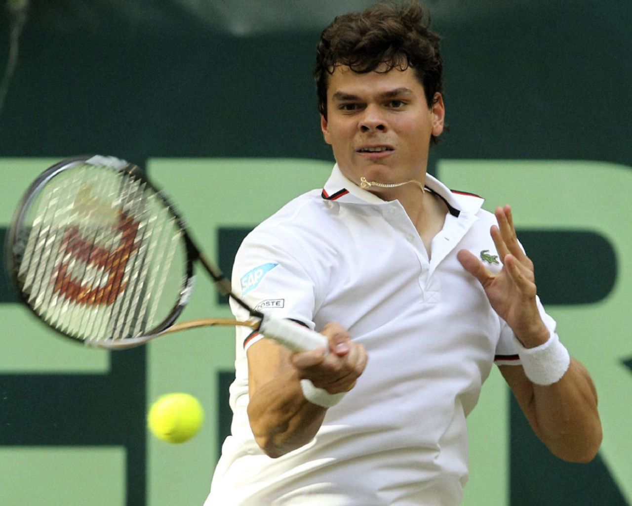 Milos Raonic Wallpapers