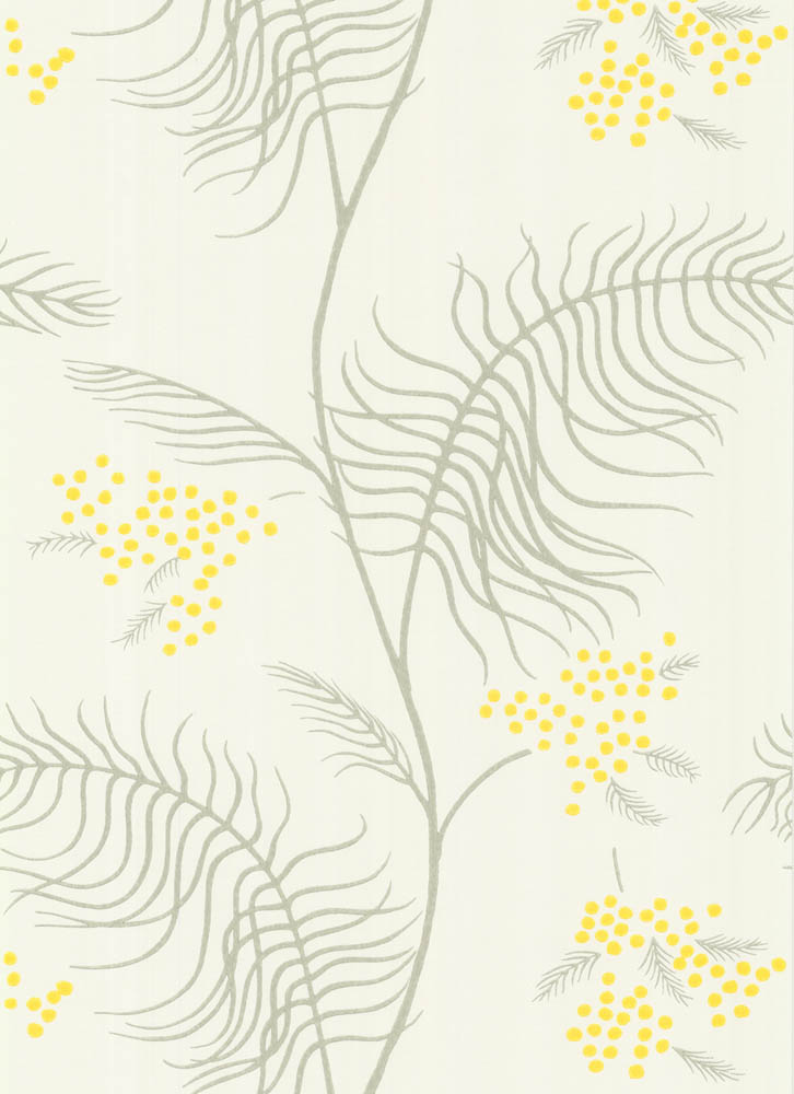 Mimosa Wallpapers