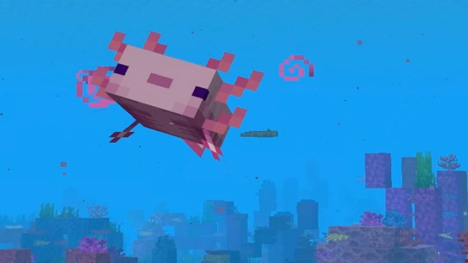 minecraft axolotl Wallpapers