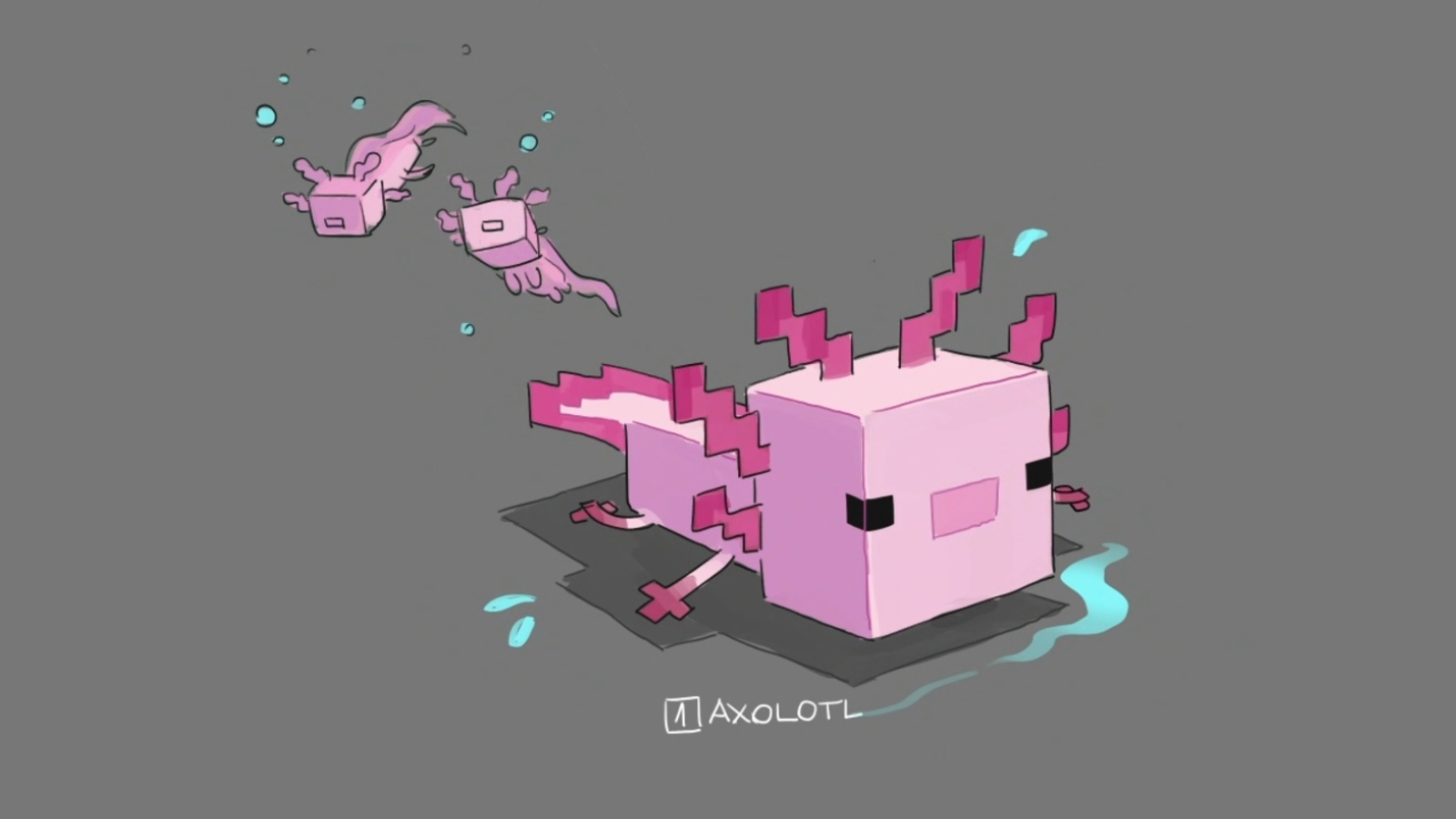 minecraft axolotl wallpapers Wallpapers