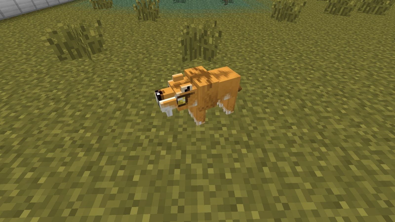 minecraft cat Wallpapers