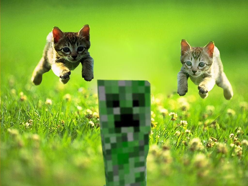 minecraft cats wallpapers Wallpapers