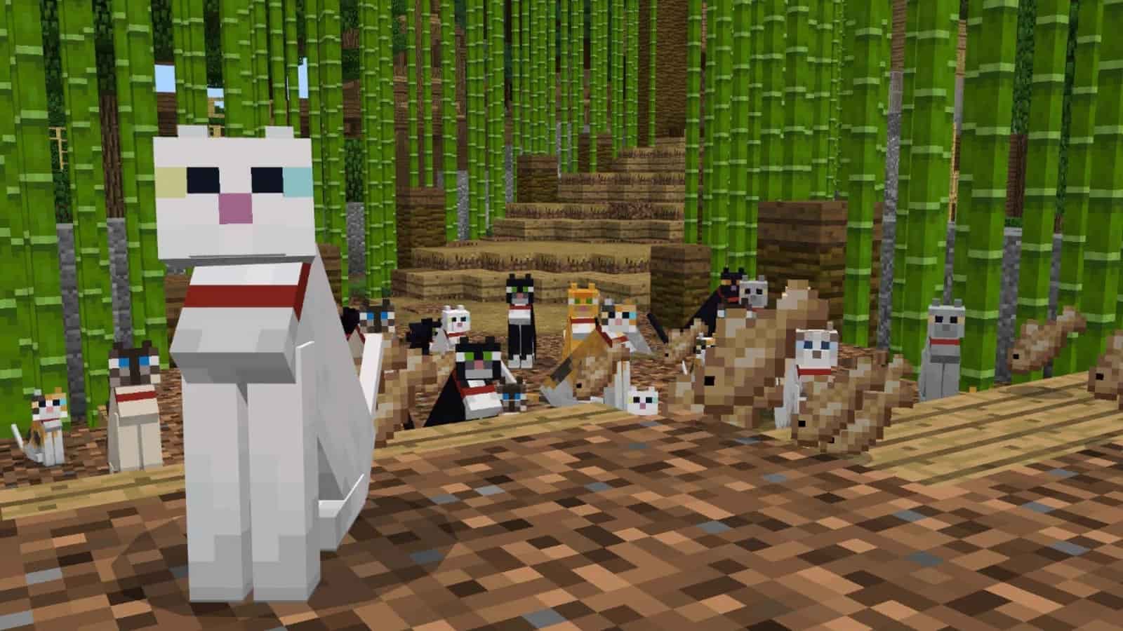 minecraft cats wallpapers Wallpapers