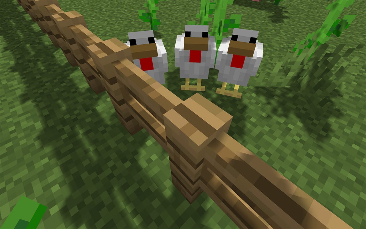 minecraft chicken Wallpapers