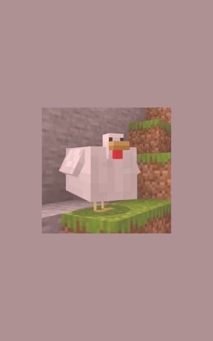 minecraft chicken wallpapers Wallpapers