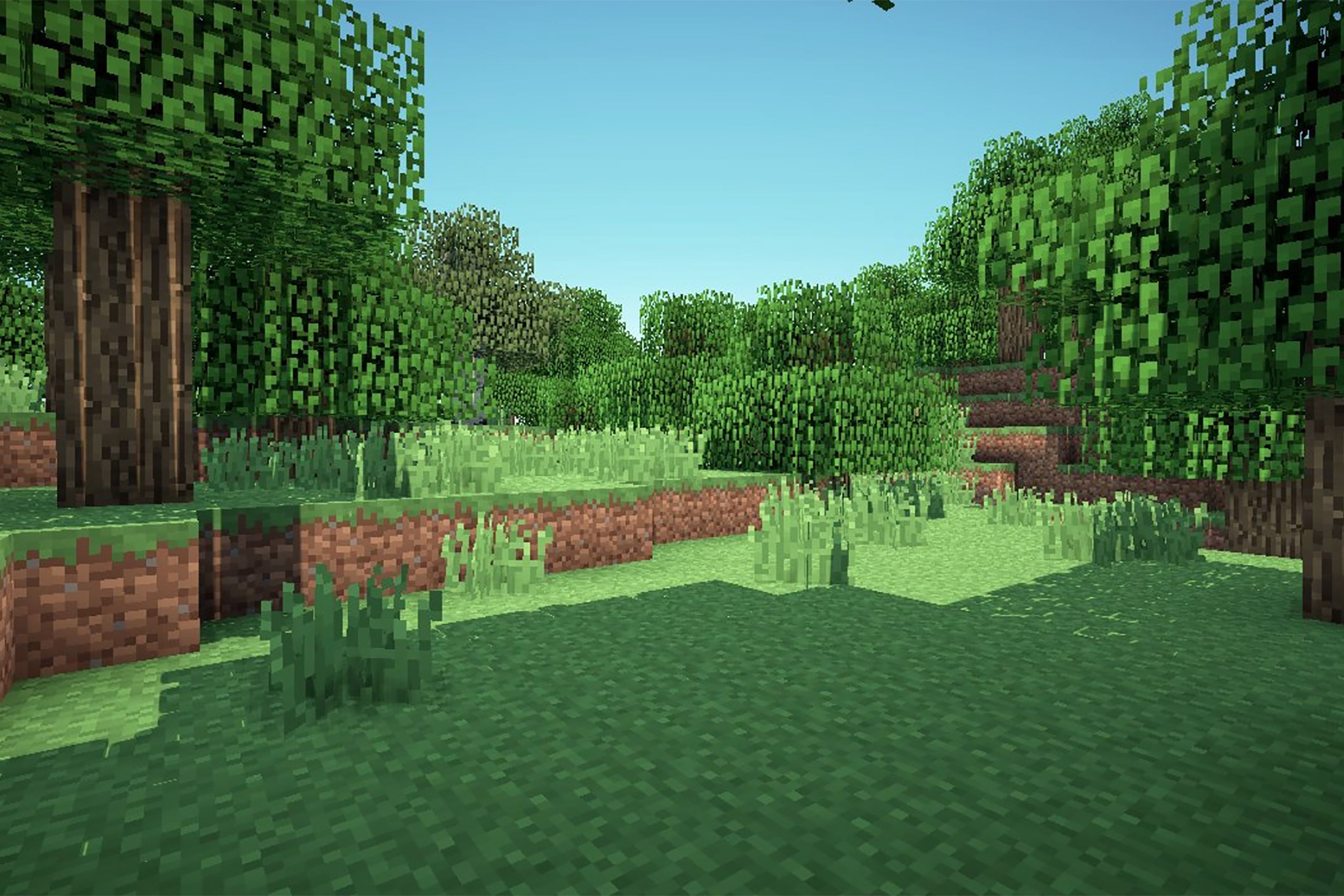 minecraft jungle Wallpapers