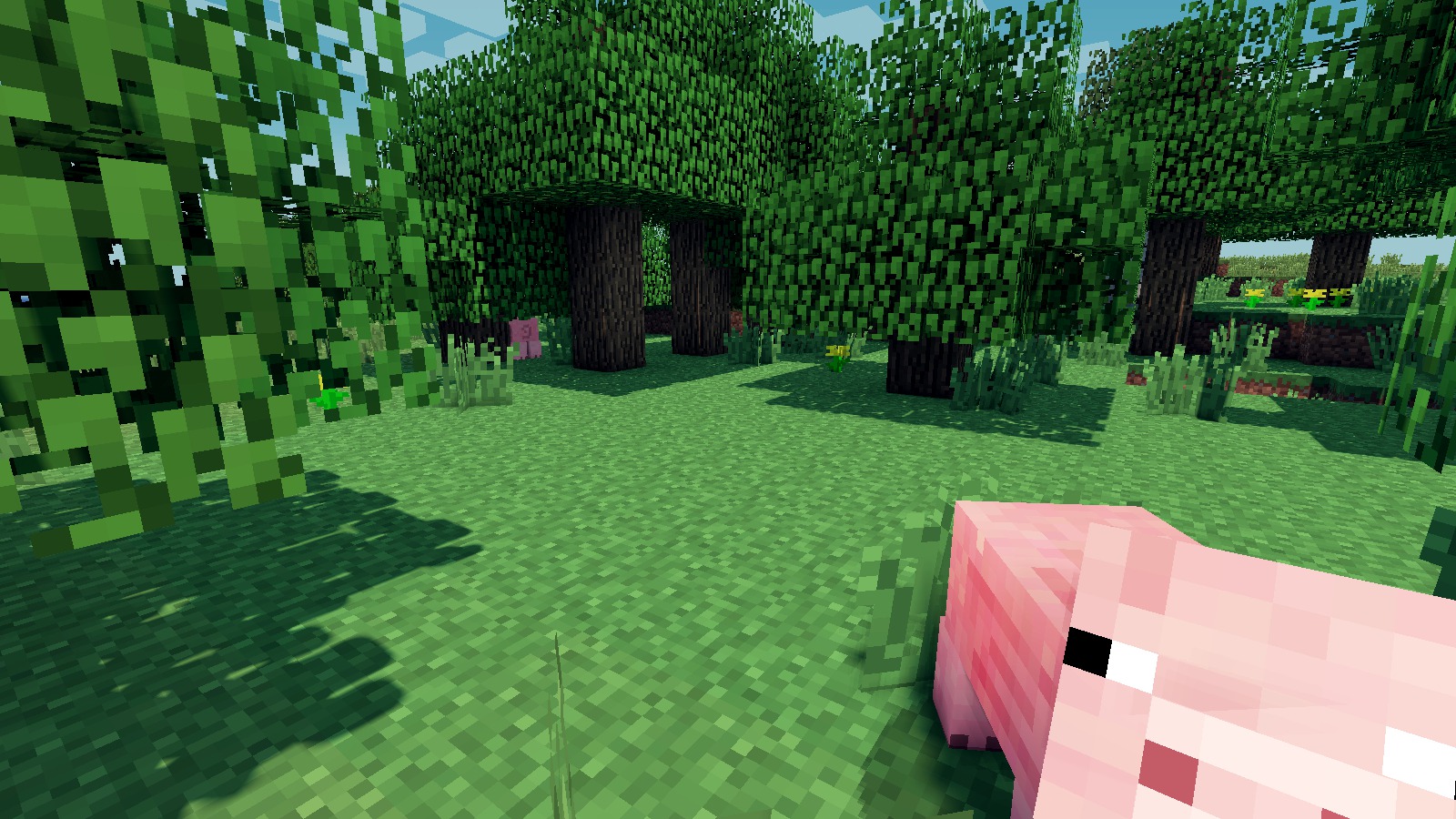 minecraft pig wallpapers Wallpapers