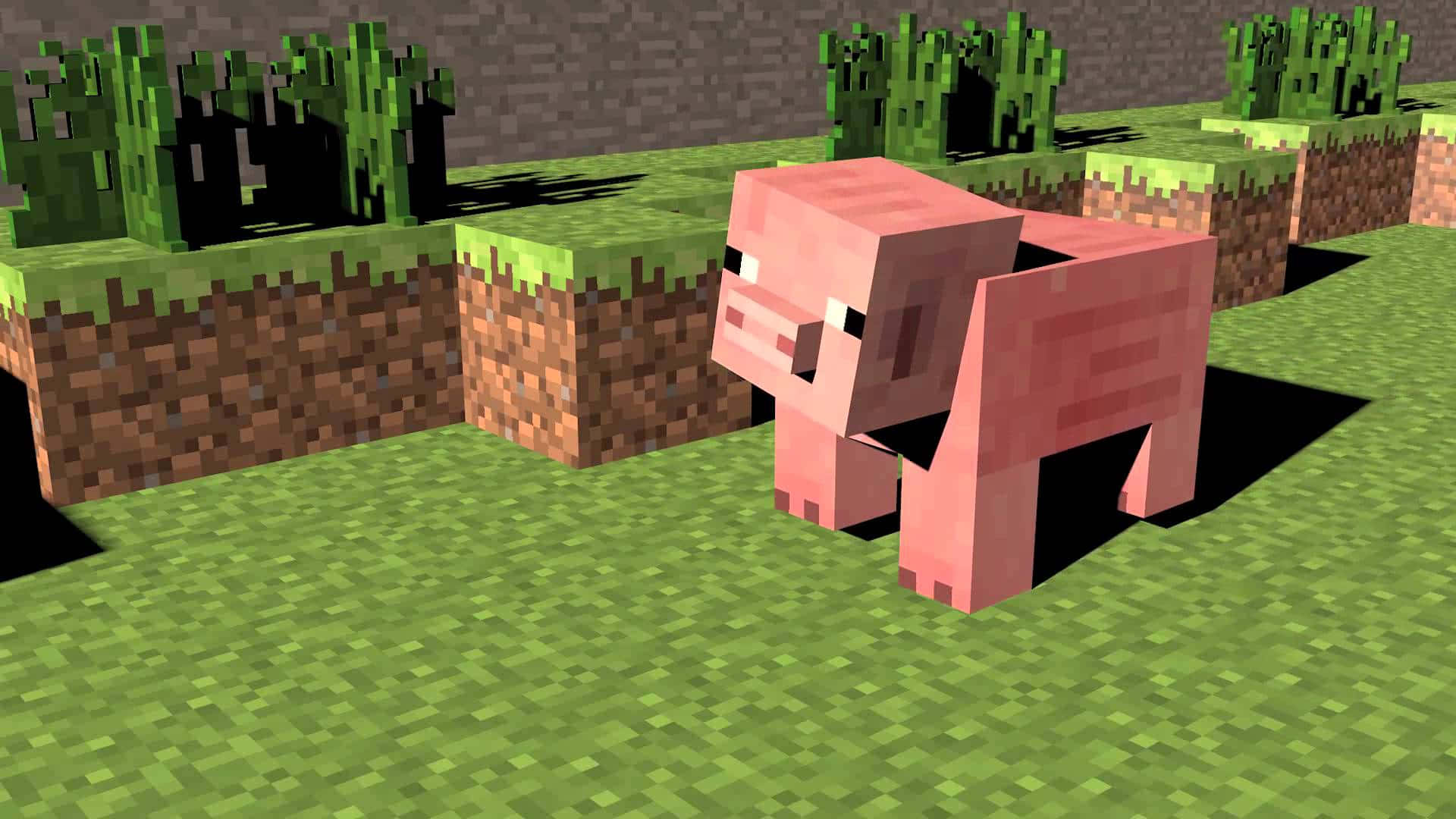 minecraft pig wallpapers Wallpapers