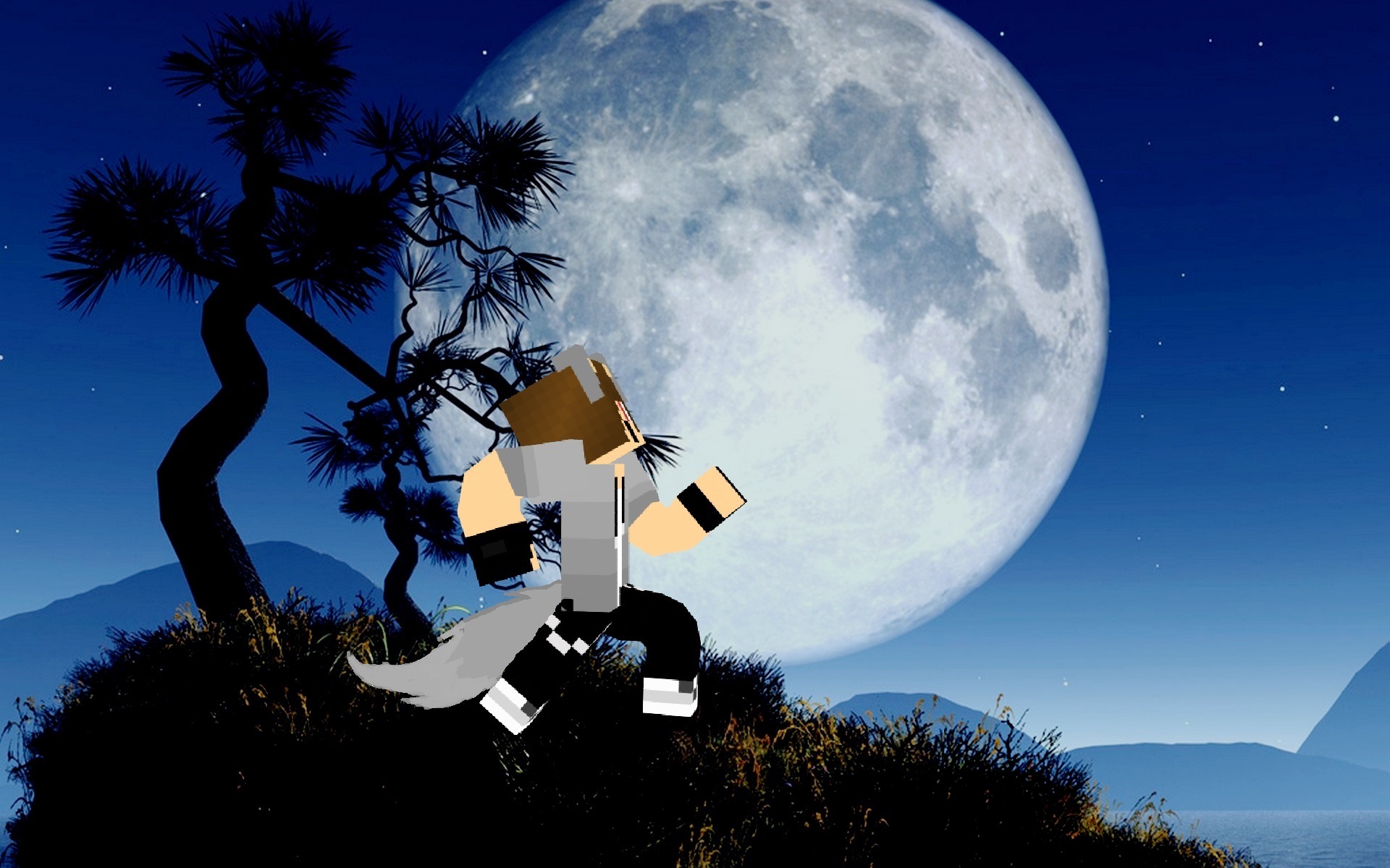 minecraft wolf wallpapers Wallpapers
