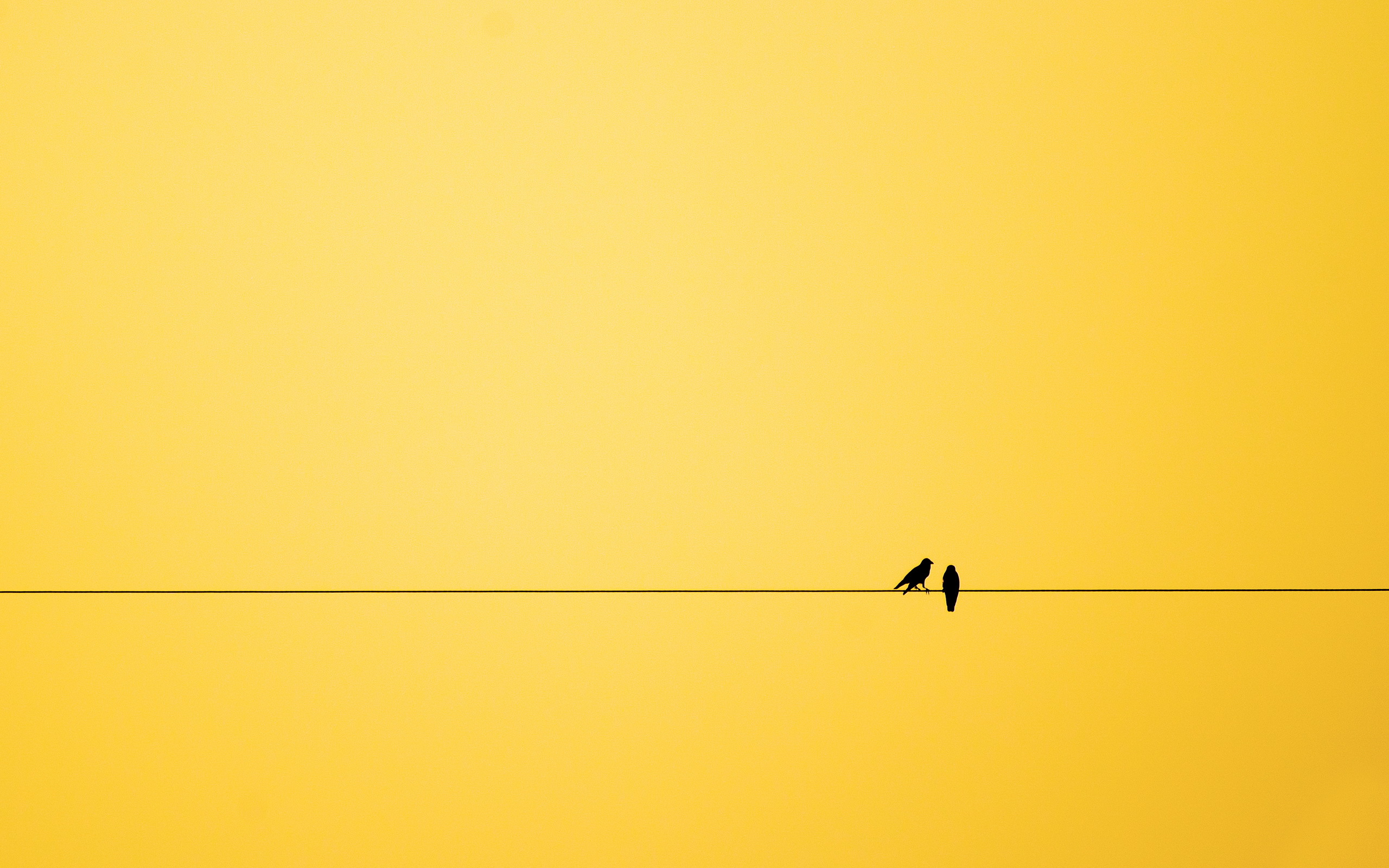 Minimalism Birds Mountains Trees Forest Wallpapers