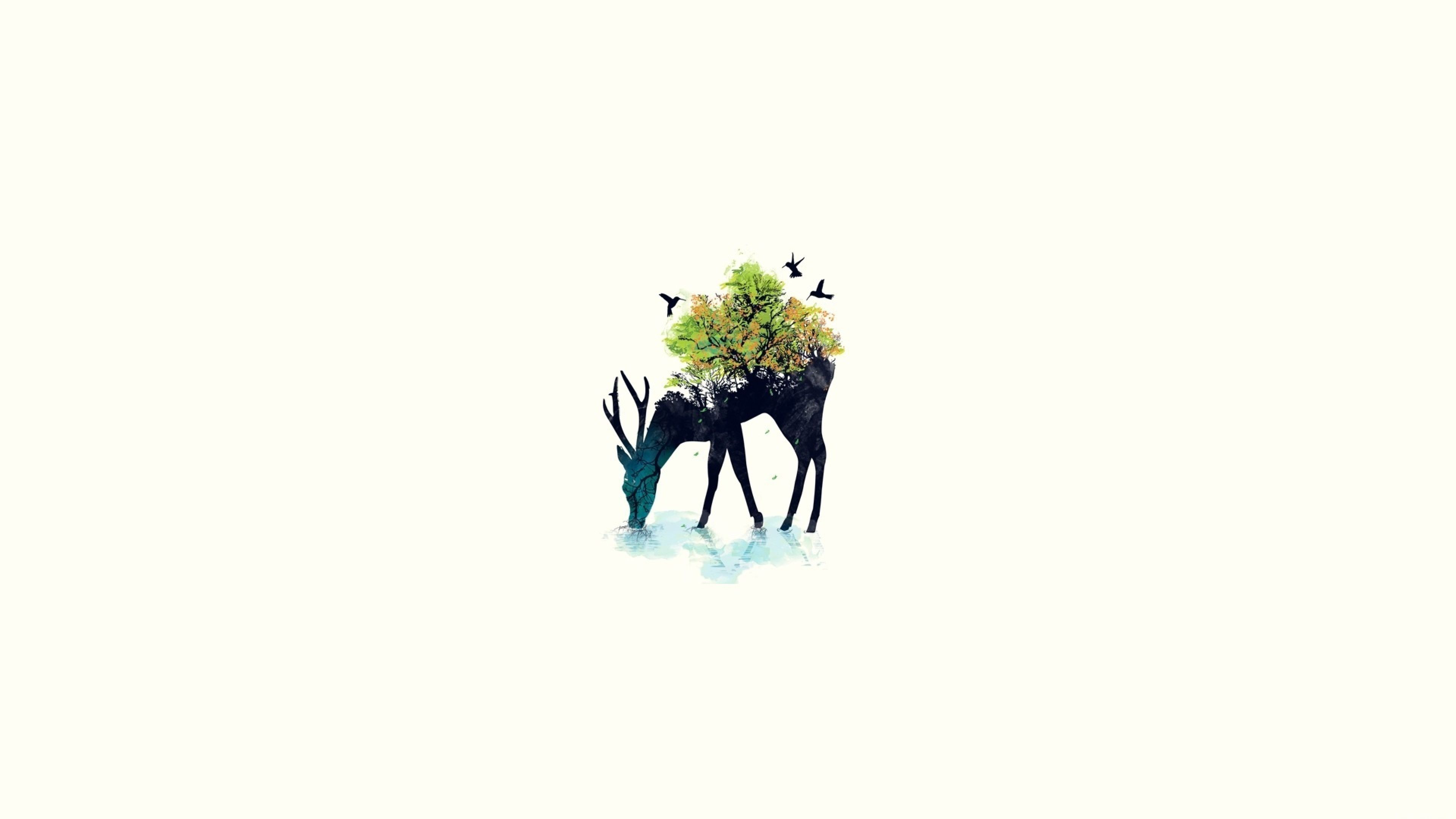 Minimalist Animal Wallpapers