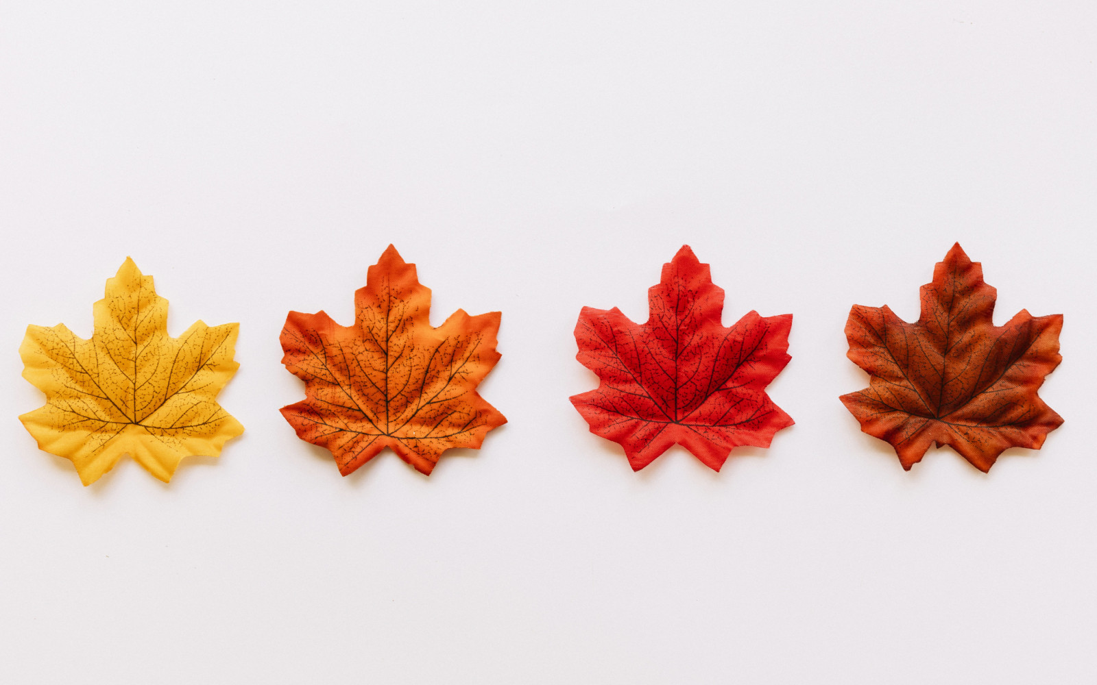 Minimalist Autumn Wallpapers