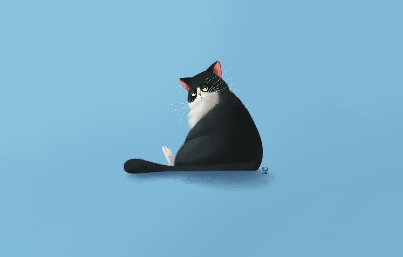 Minimalist Cat Desktop Wallpapers