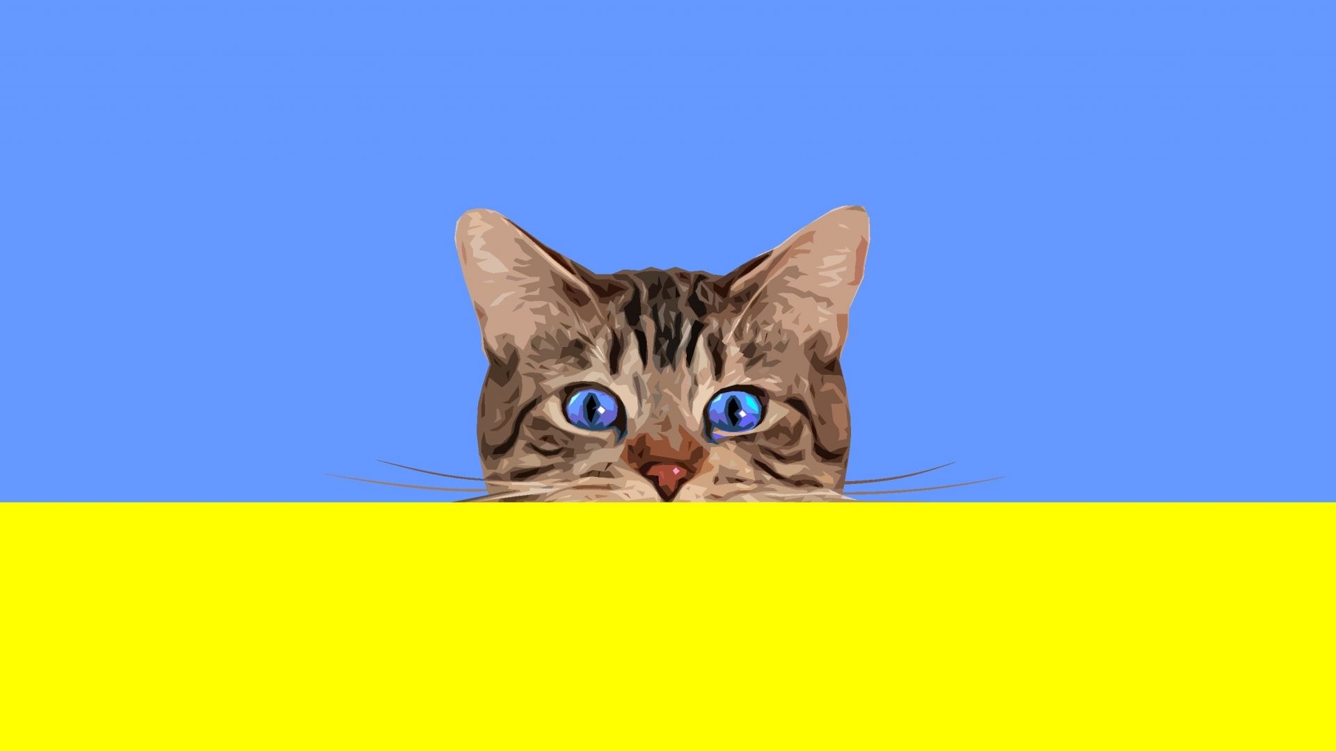 Minimalist Cat Desktop Wallpapers