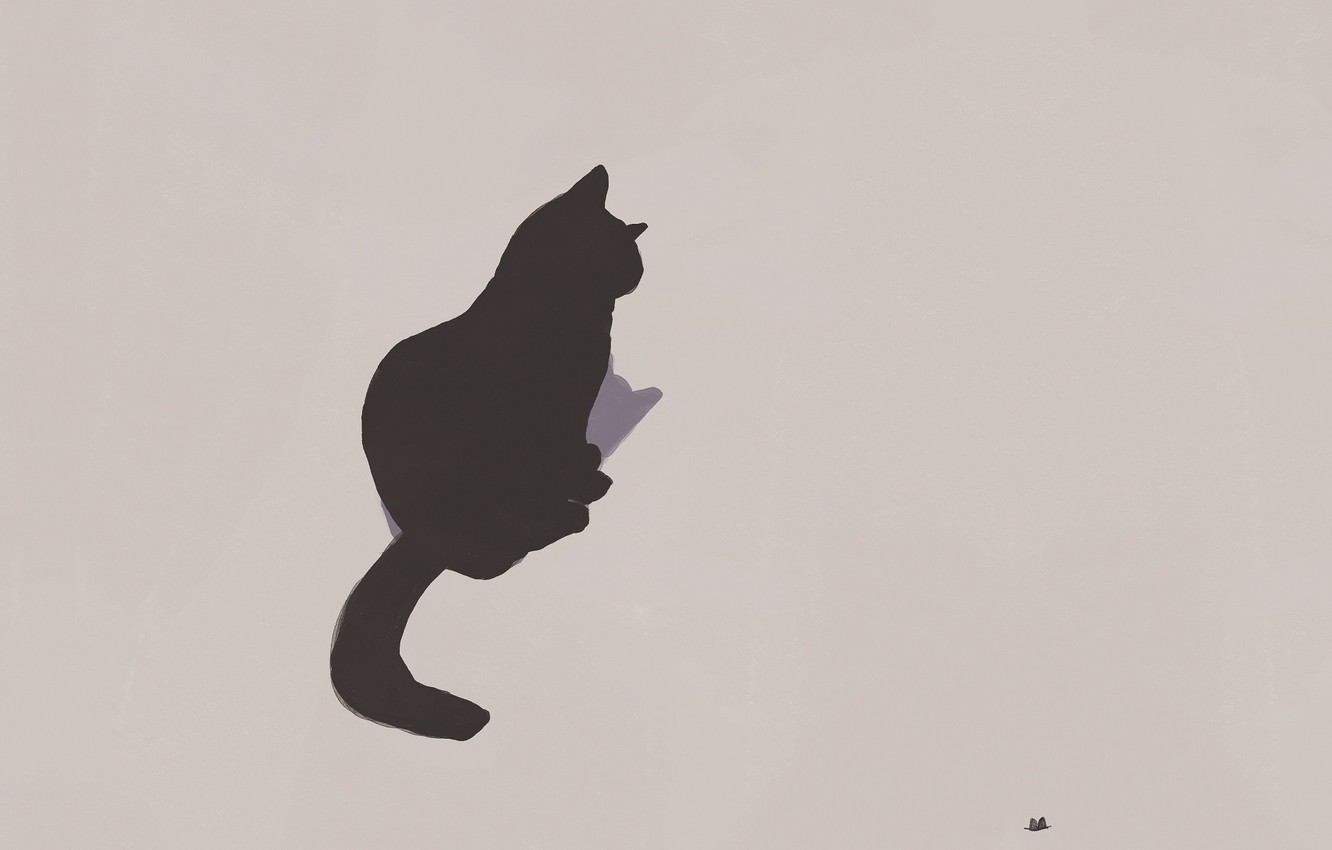 Minimalist Cat Wallpapers