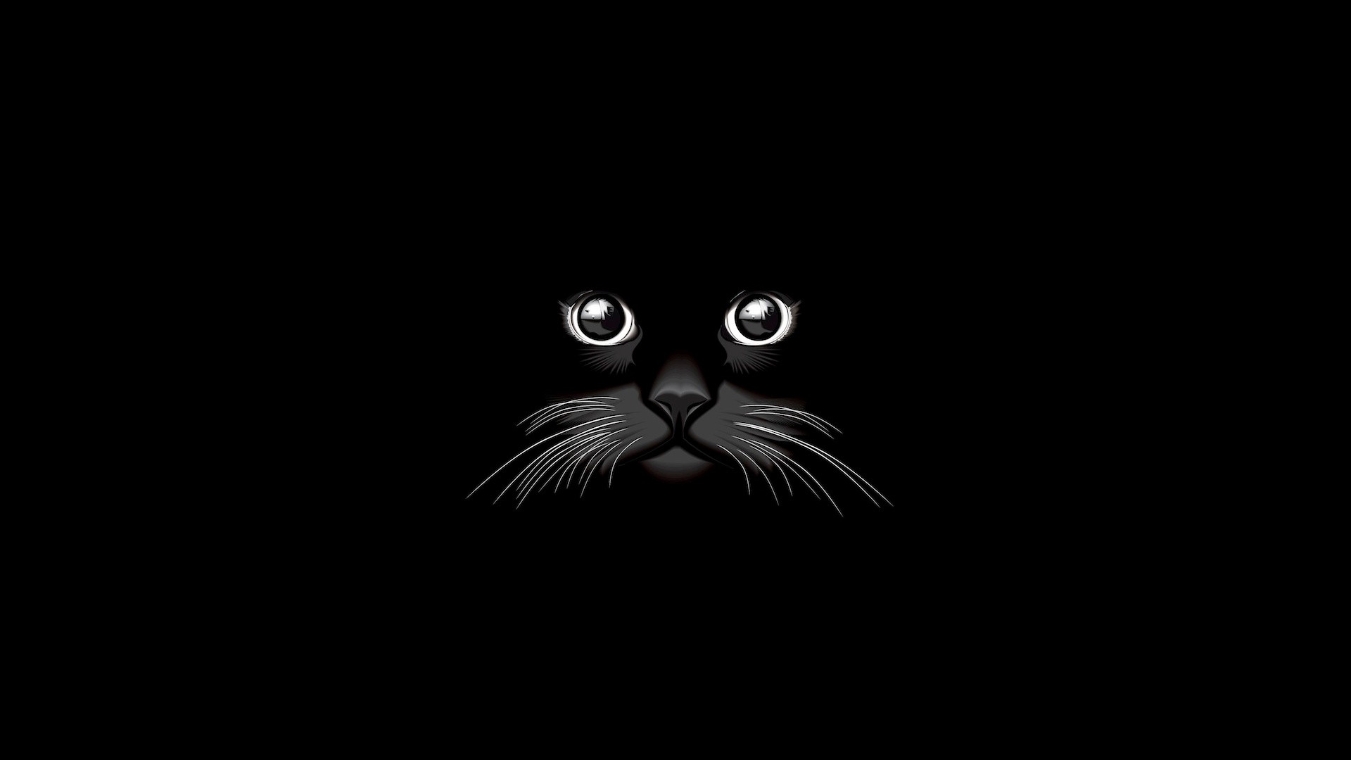 Minimalist Cat Wallpapers