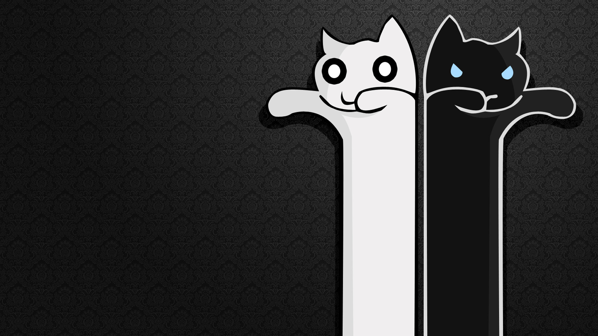 Minimalist Cat Wallpapers