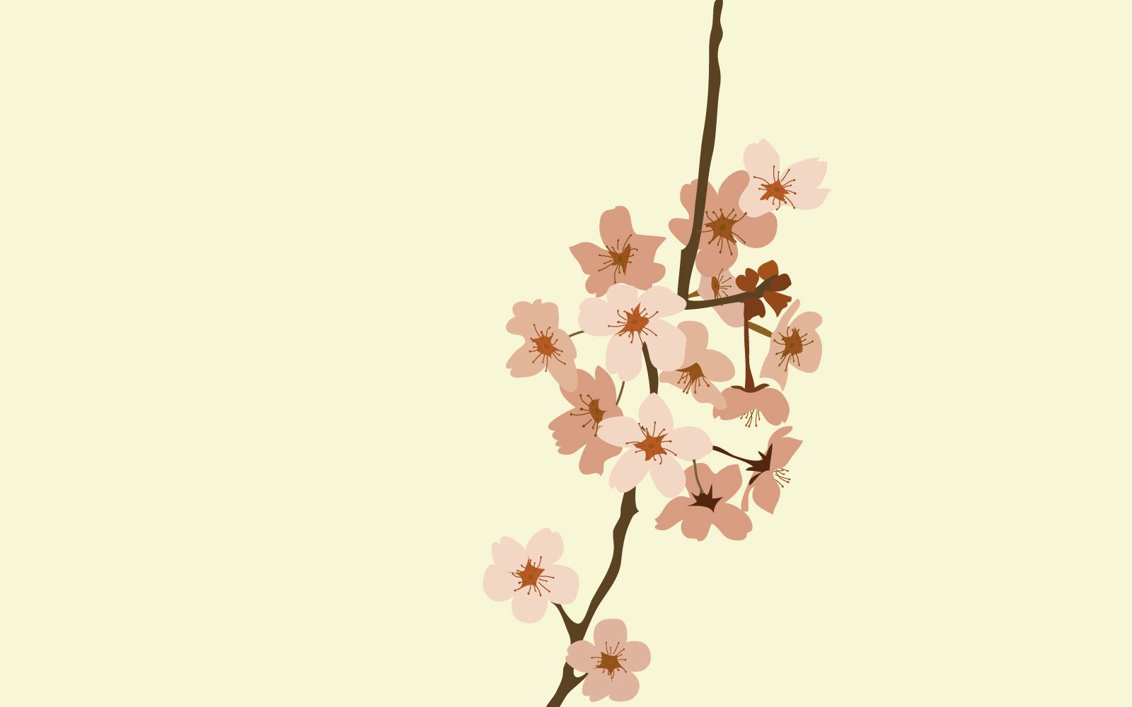 Minimalist Cherry Blossom Wallpapers