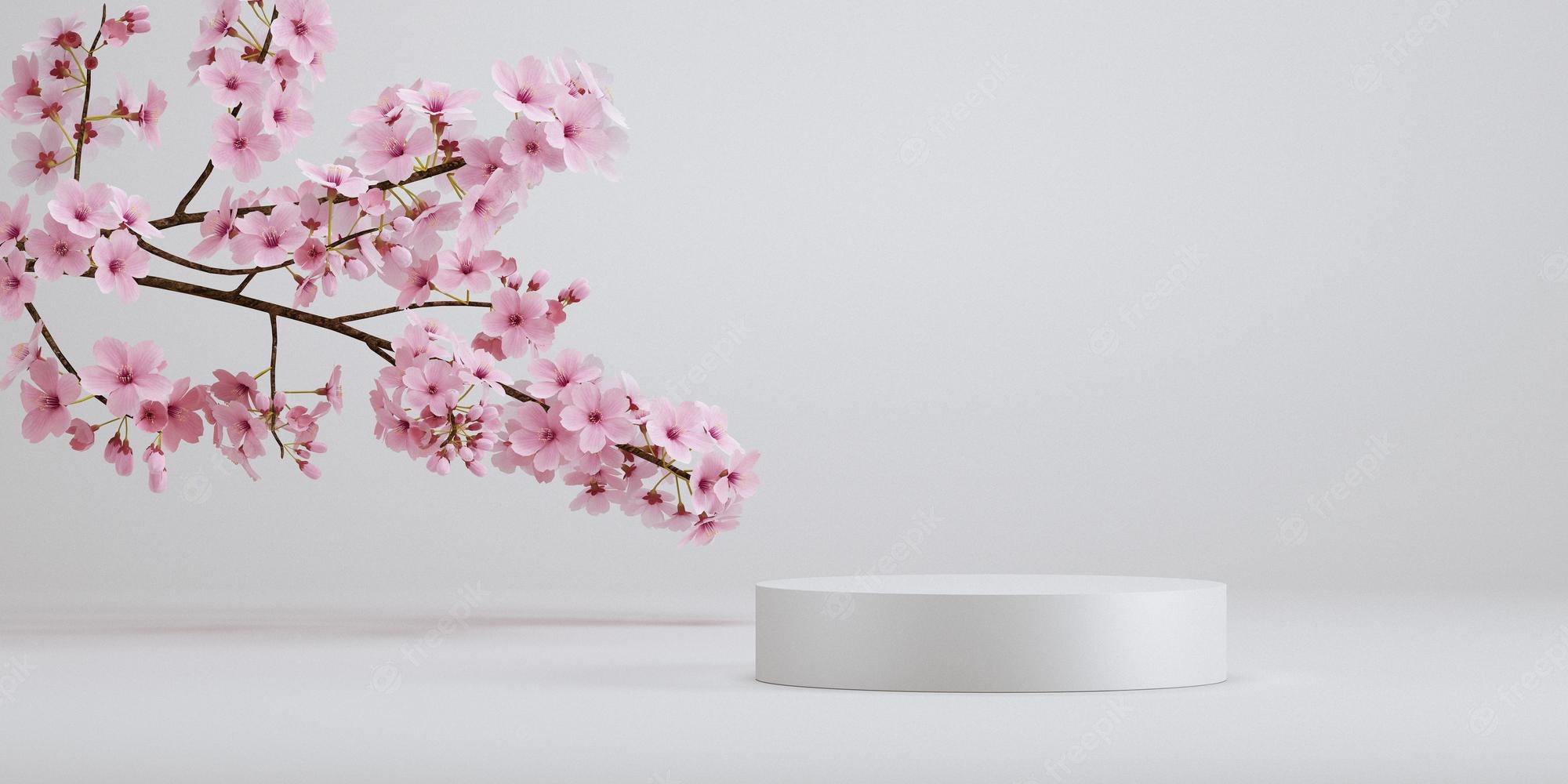 Minimalist Cherry Blossom Wallpapers