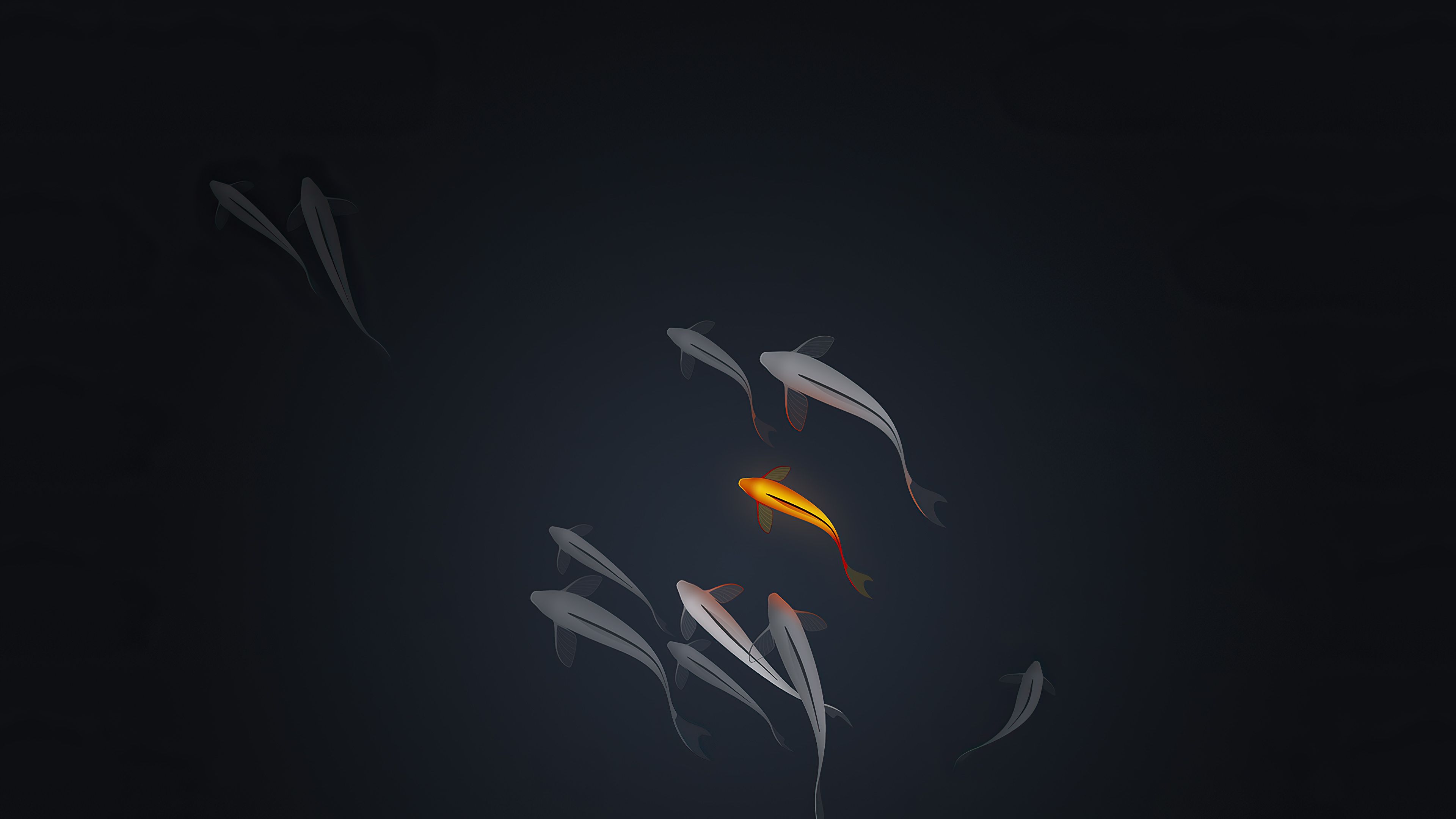 Minimalist Fish Wallpapers