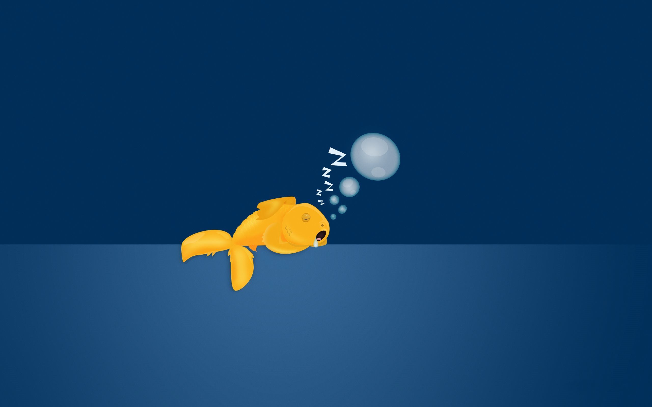 Minimalist Fish Wallpapers