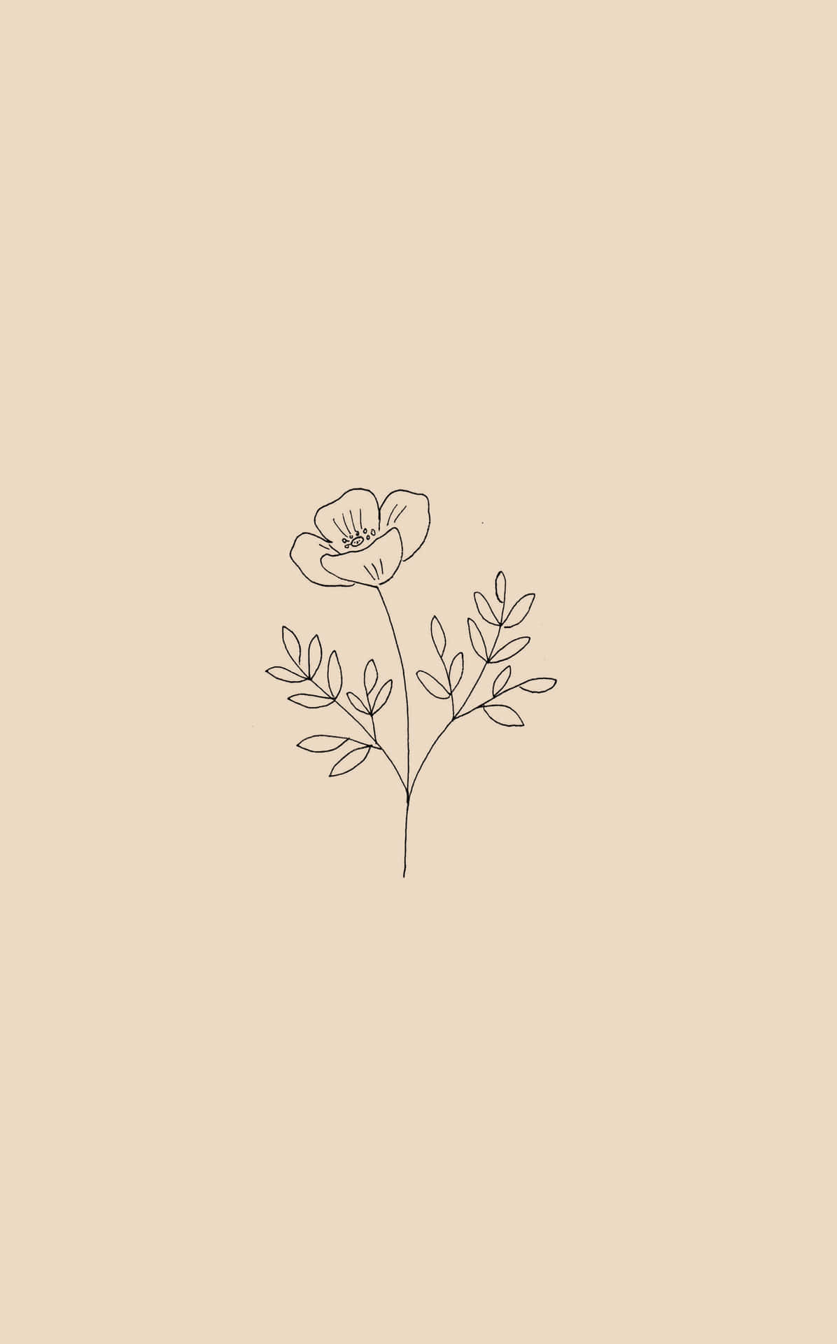 Minimalist Flower Wallpapers