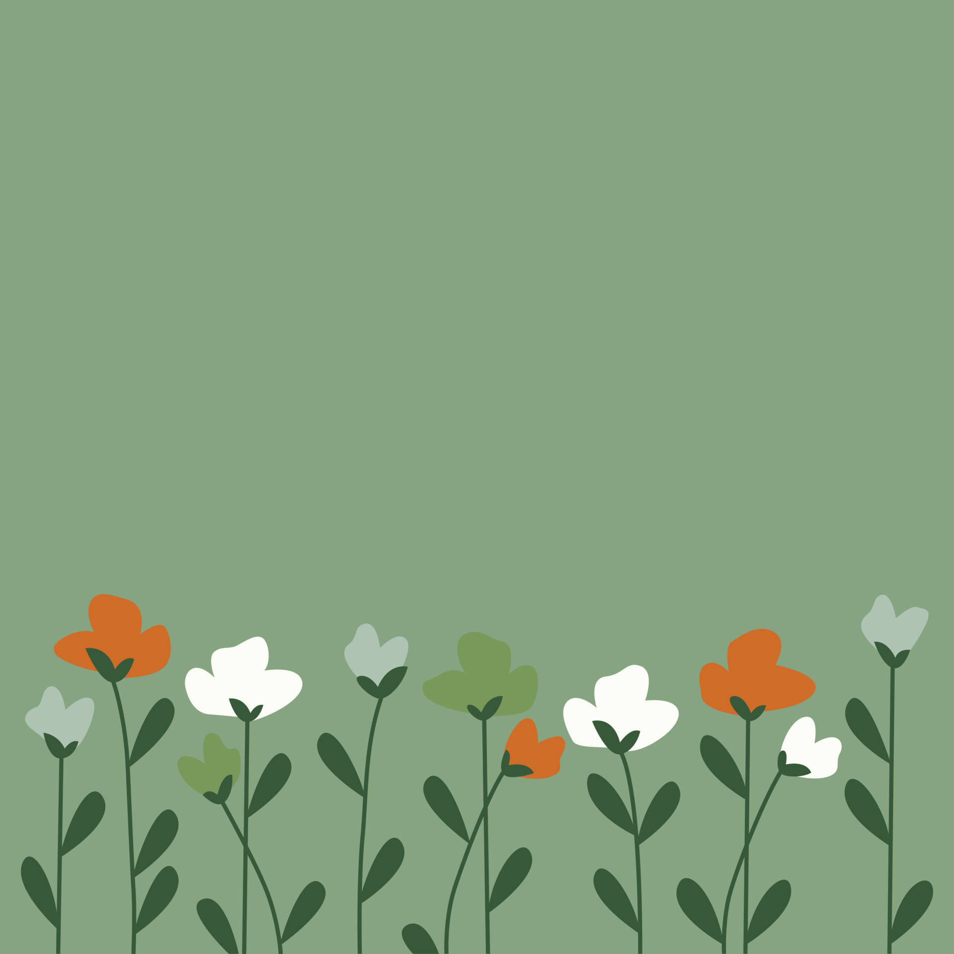 Minimalist Flower Wallpapers