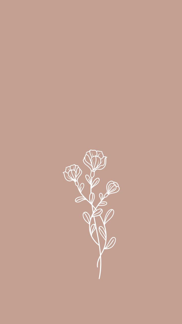 Minimalist Flower Wallpapers