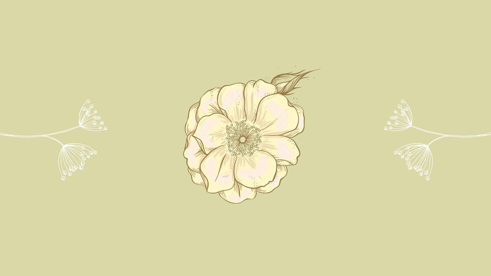 Minimalist Flower Wallpapers