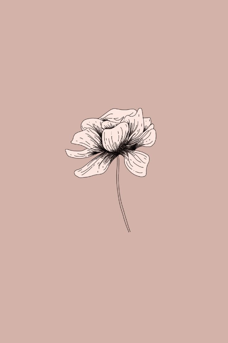 Minimalist Flower Wallpapers