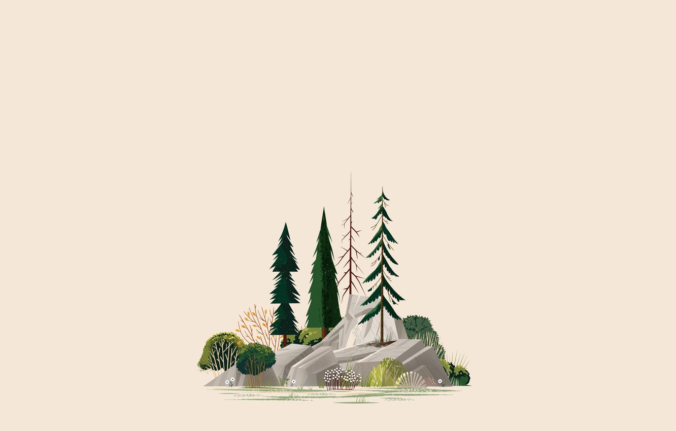 Minimalist Forest Wallpapers