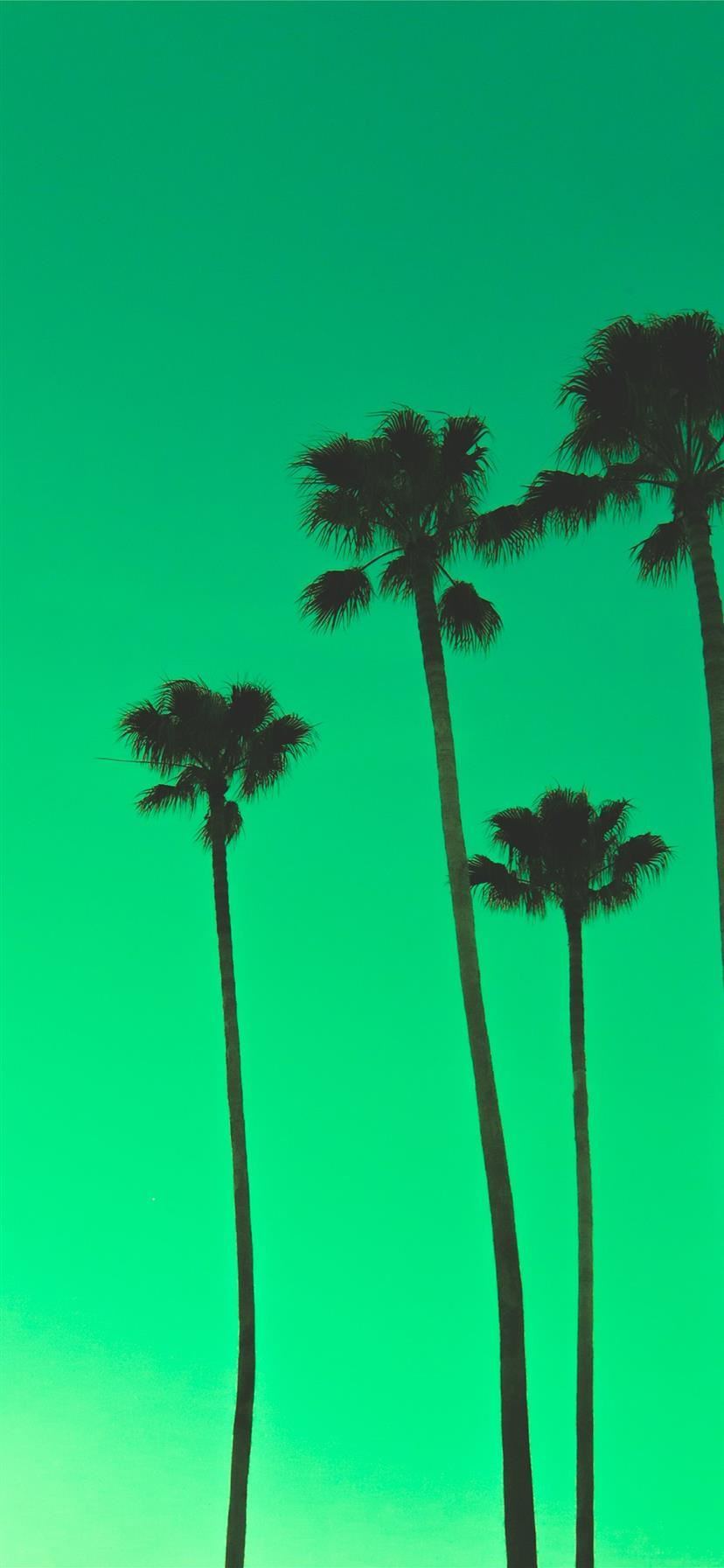 Minimalist Green Wallpapers