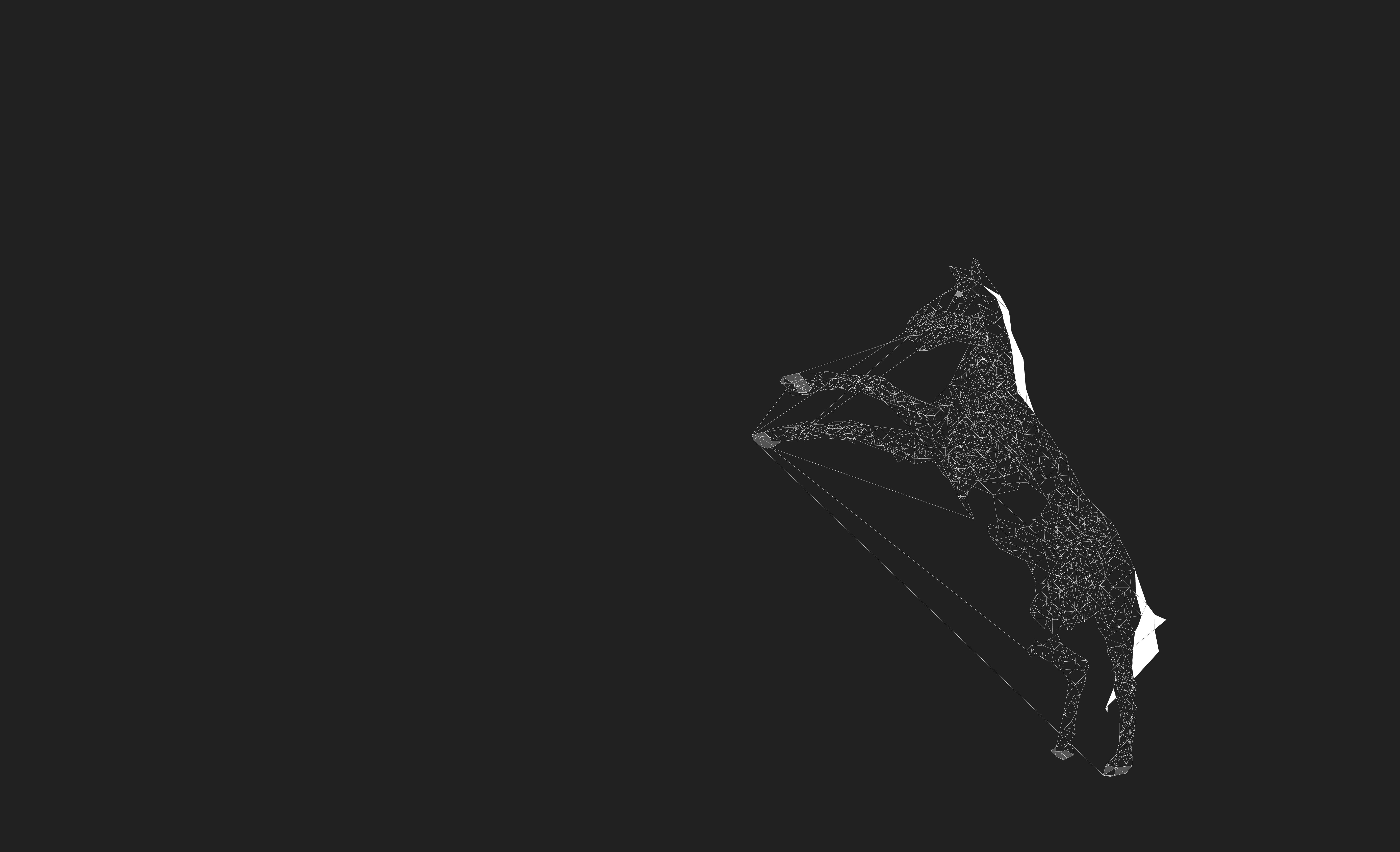 Minimalist Horse Wallpapers