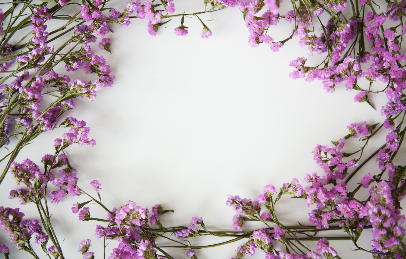 Minimalist Lavender Flowers Wallpapers