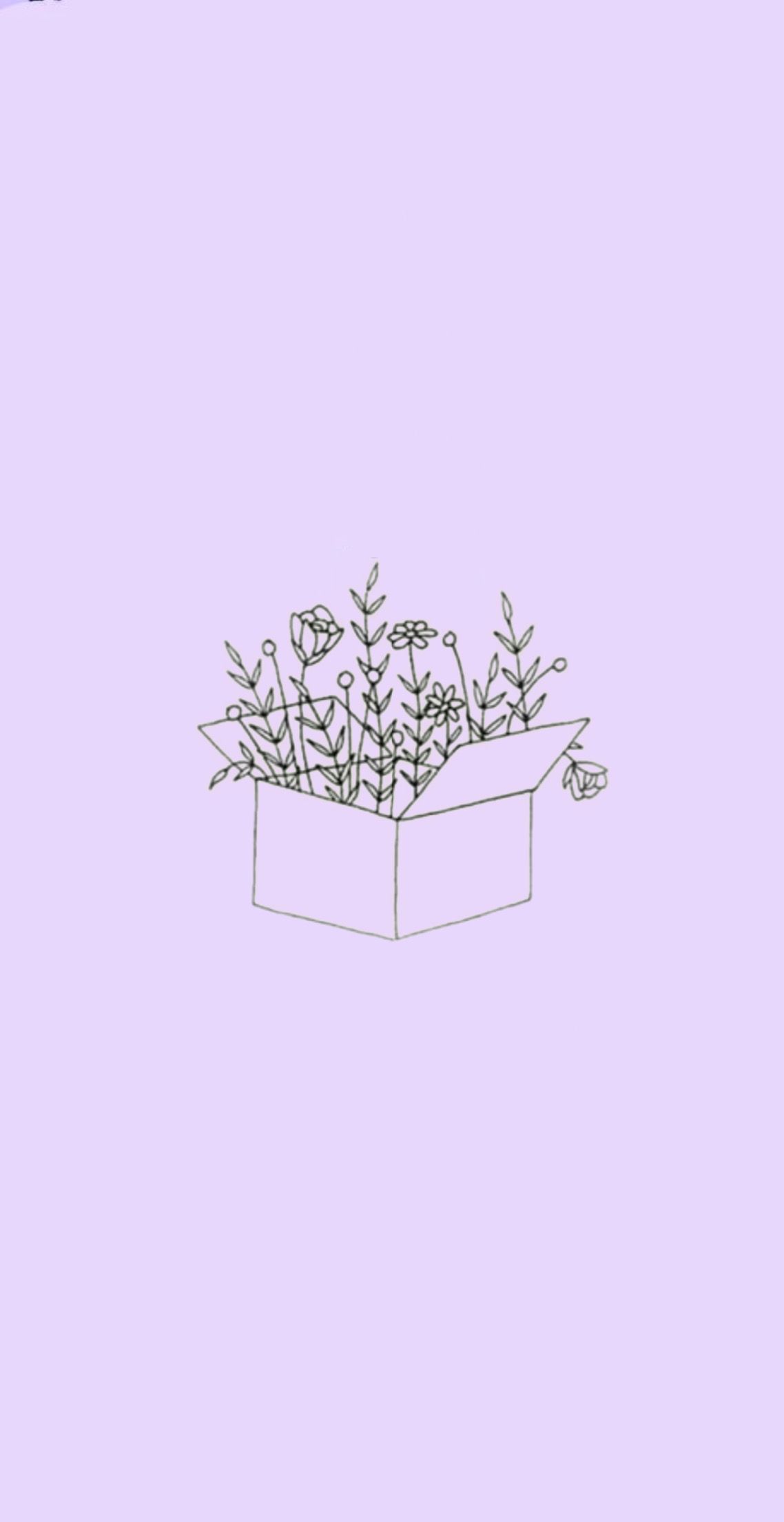 Minimalist Lavender Flowers Wallpapers