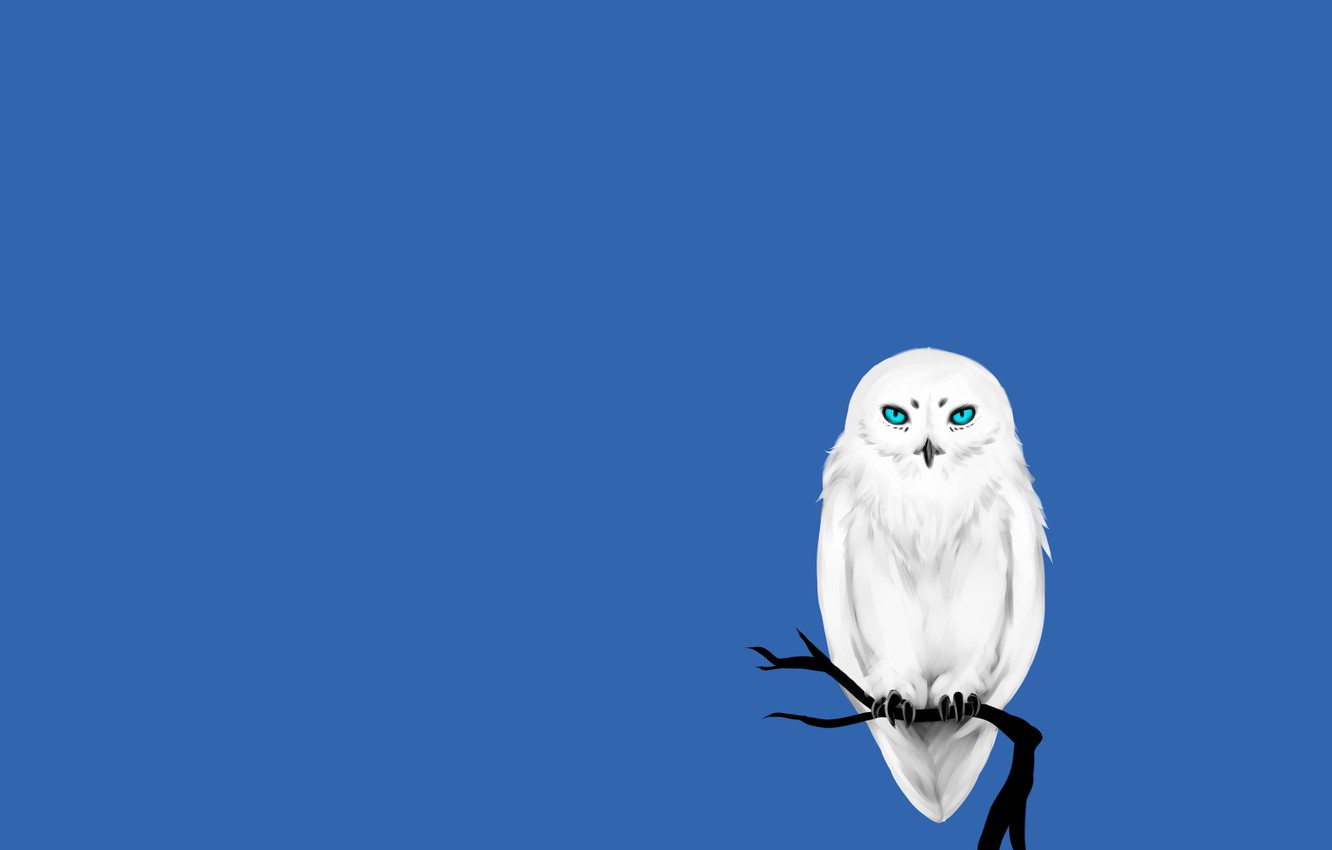 Minimalist Owl Wallpapers