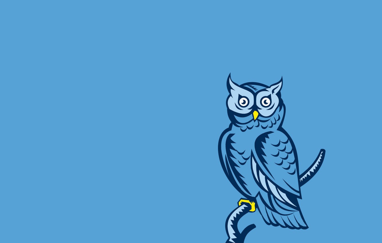 Minimalist Owl Wallpapers