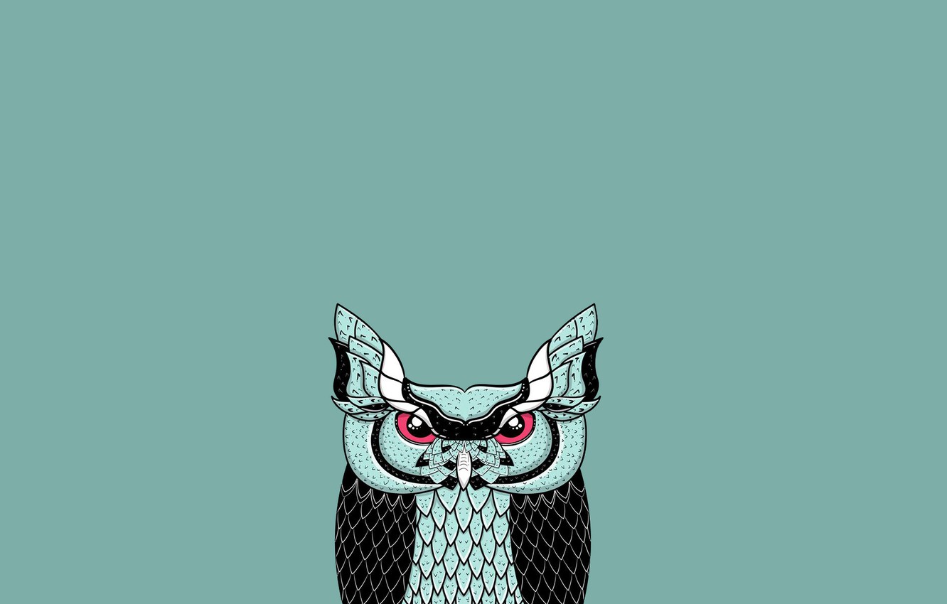 Minimalist Owl Wallpapers