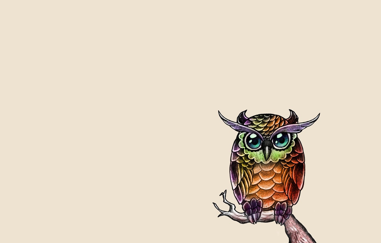 Minimalist Owl Wallpapers