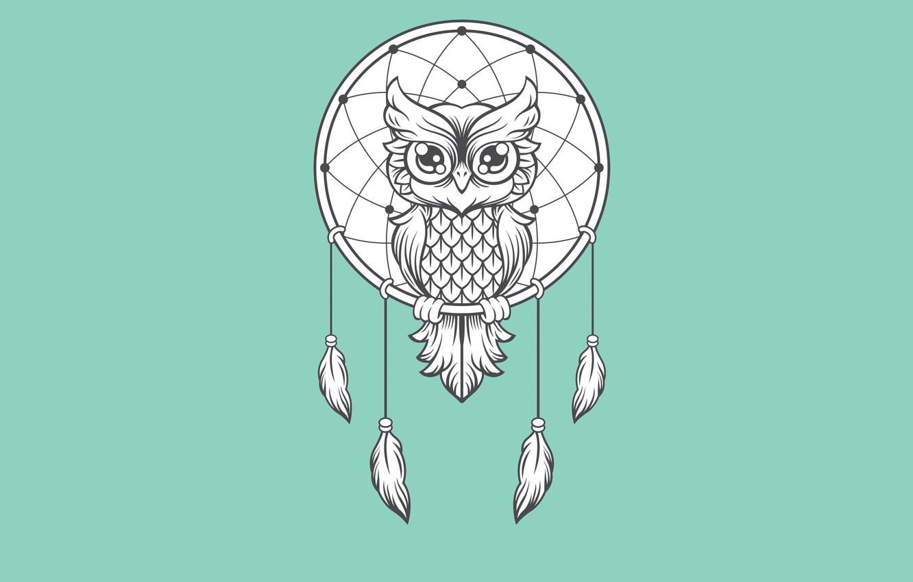 Minimalist Owl Wallpapers