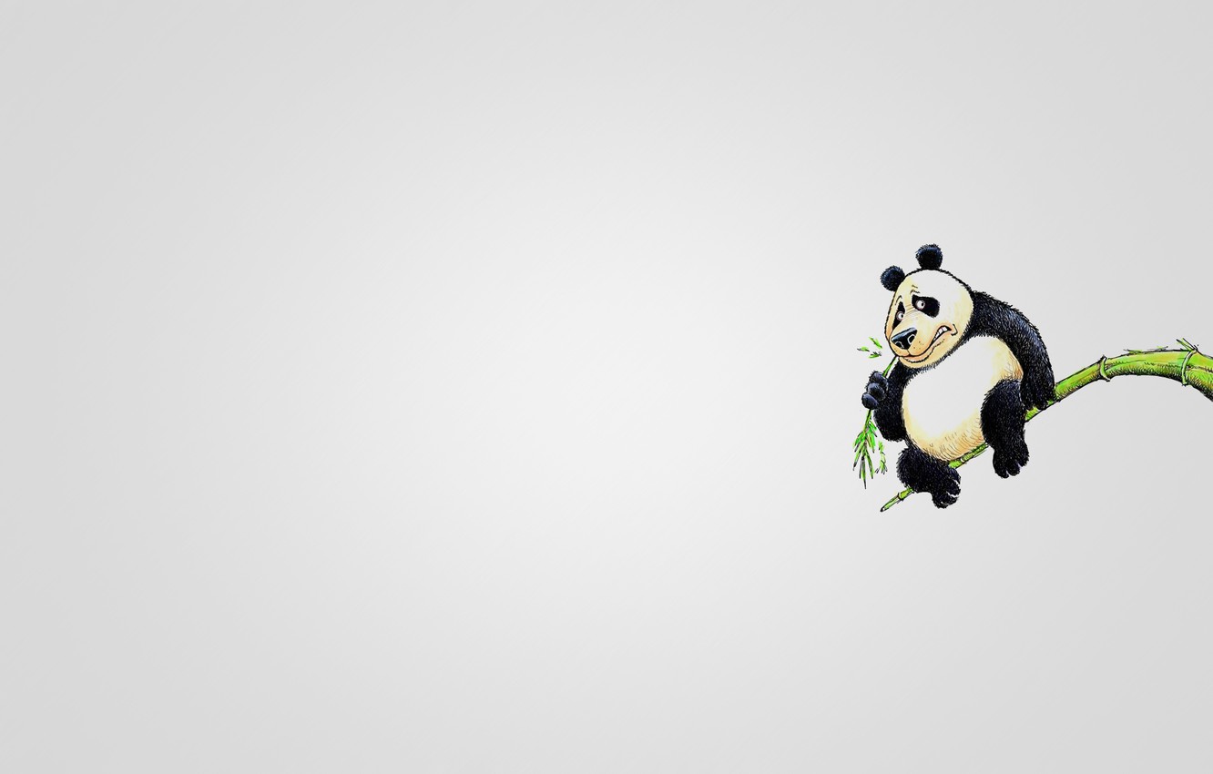 Minimalist Panda Wallpapers