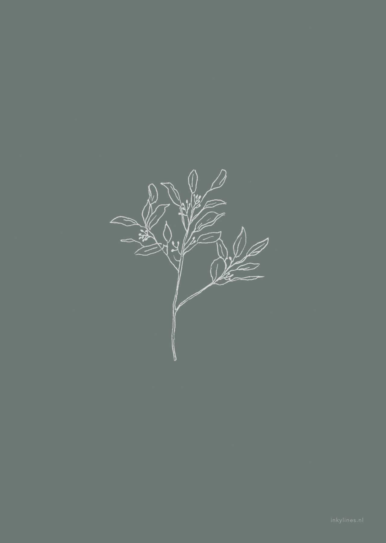 Minimalist Plant Drawing Wallpapers