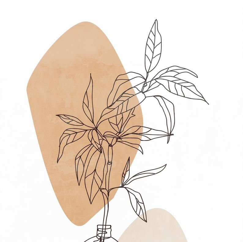 Minimalist Plant Drawing Wallpapers