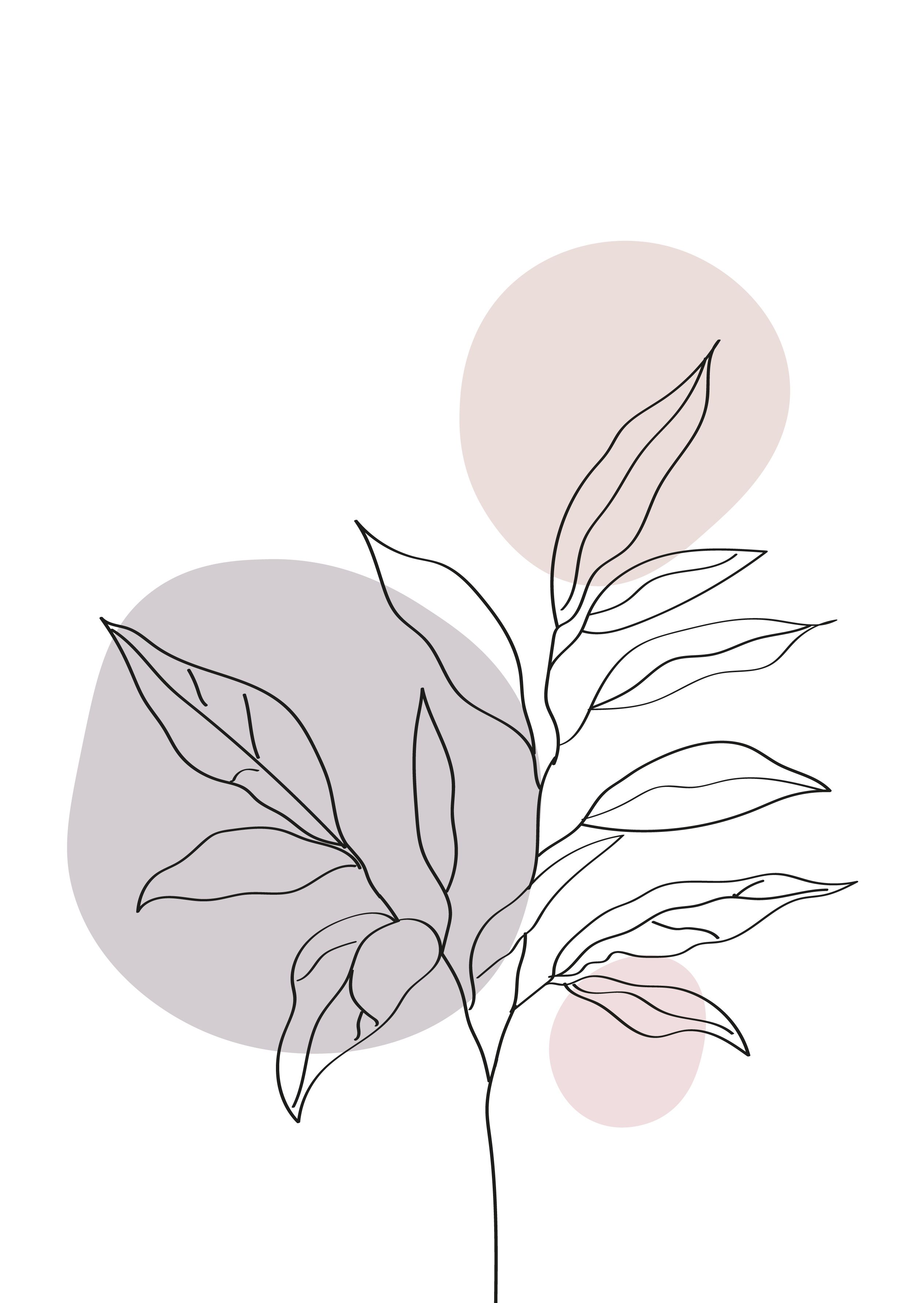 Minimalist Plant Drawing Wallpapers