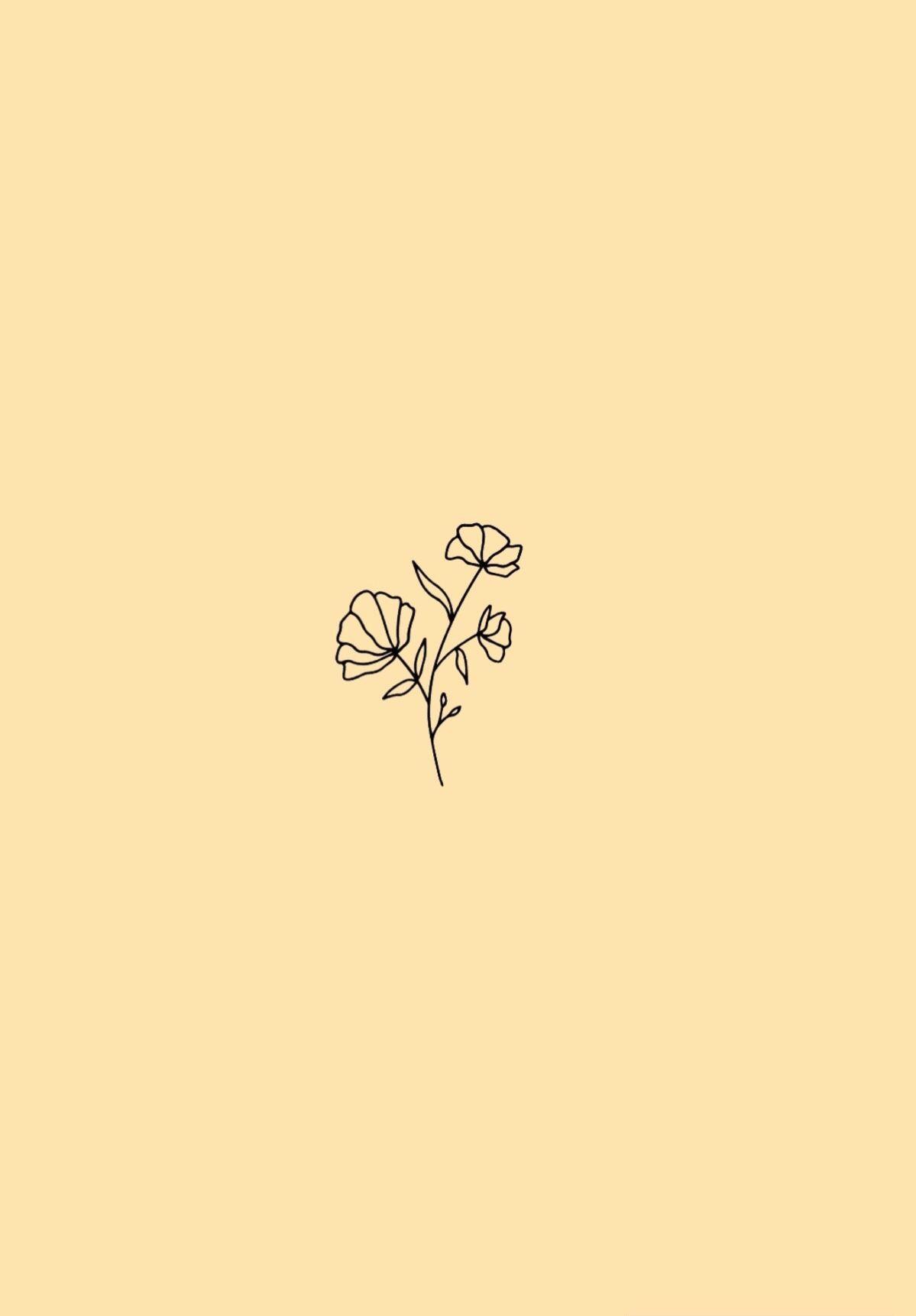 Minimalist Plant Drawing Wallpapers