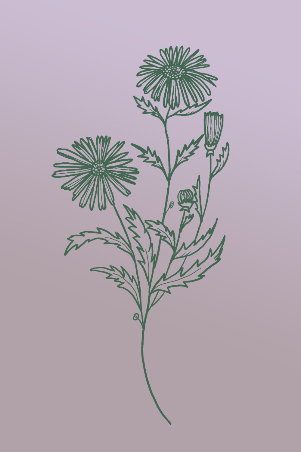 Minimalist Plant Drawing Wallpapers